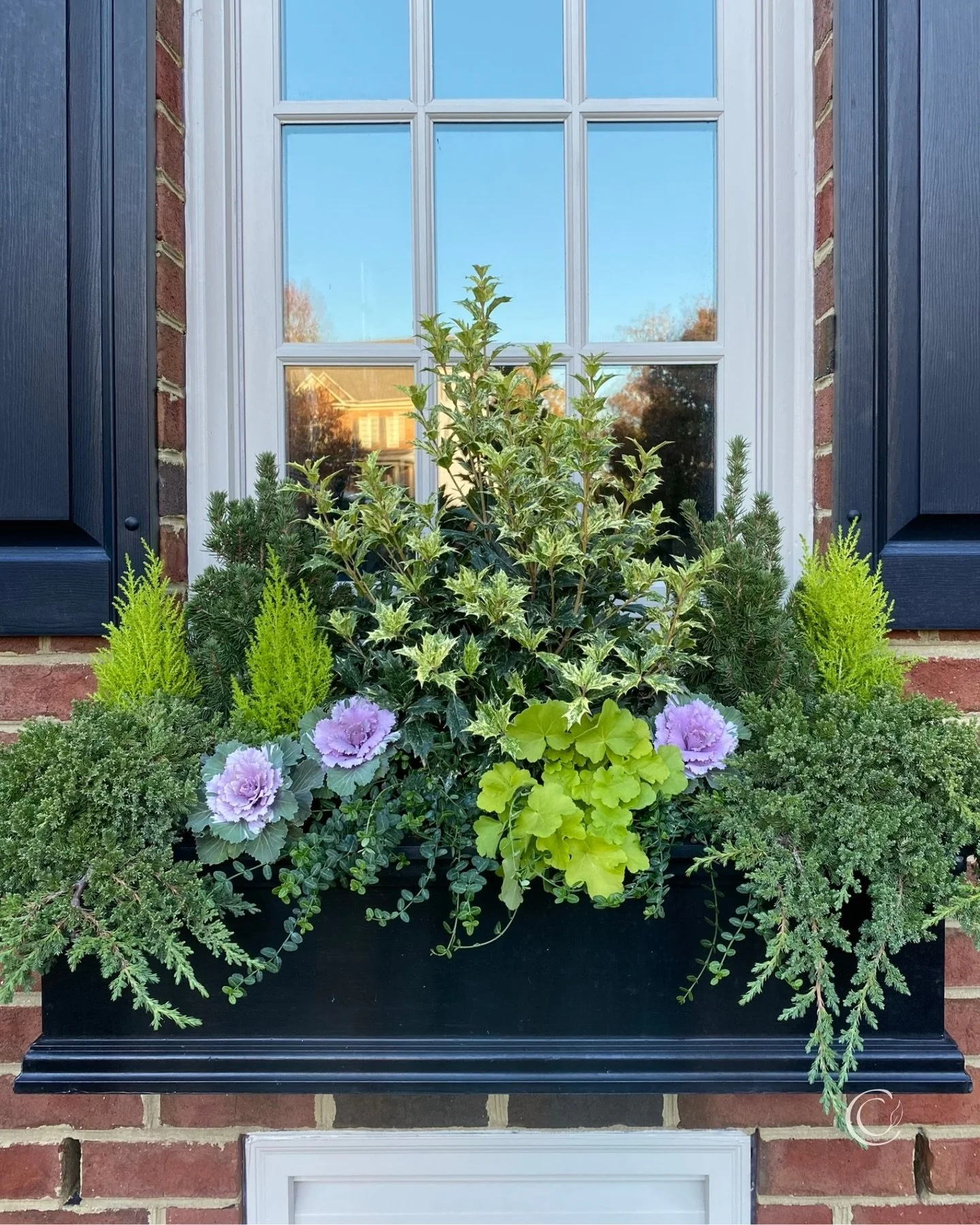 Bow or no bow? ➡️ Swipe to see it both ways, then vote for your fave!

#windowboxwednesday #flowerboxes #containergardeningideas