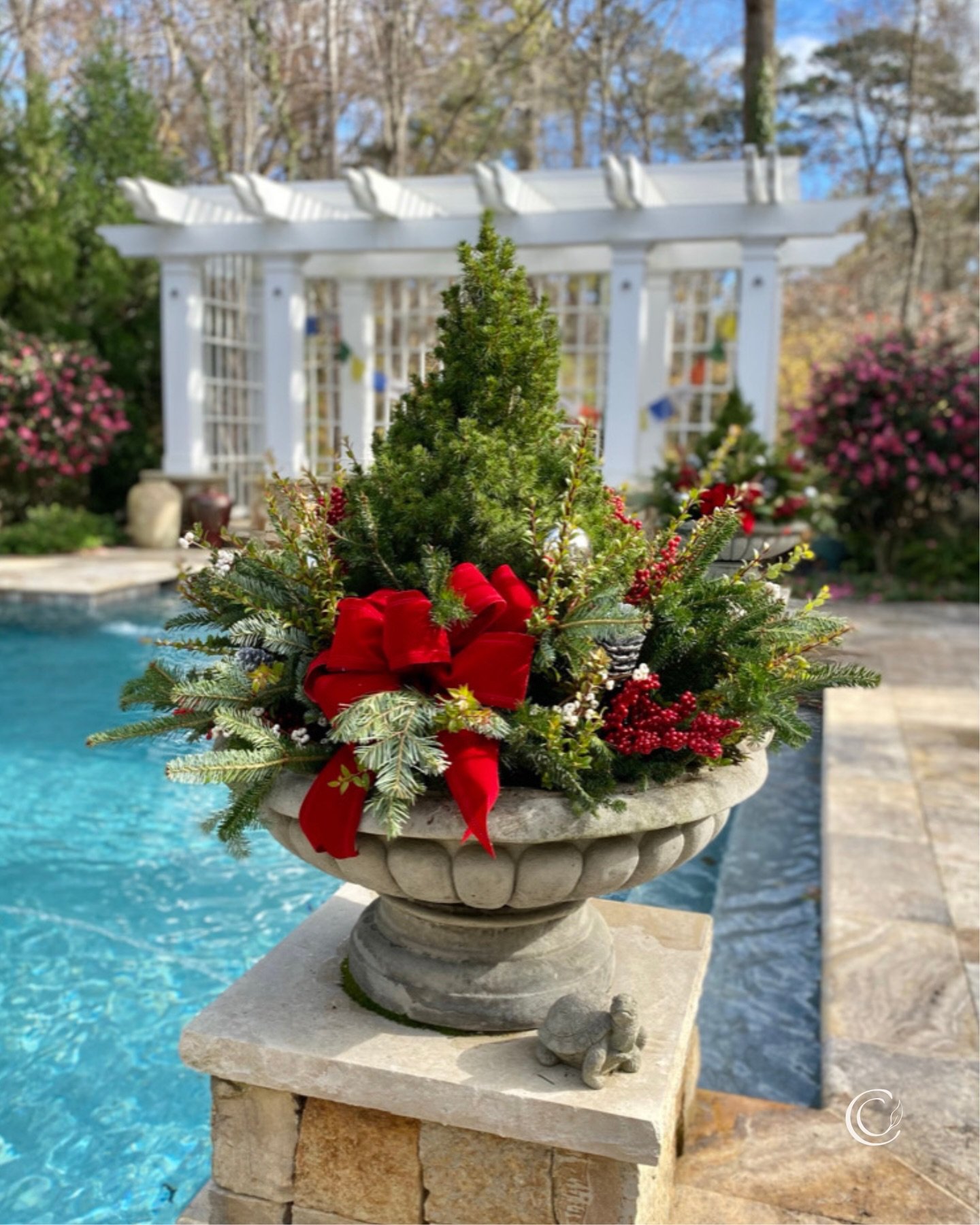 &hearts;️Leaning into classic berry red this year, inspired by these favorites from past holiday porches and pools.

#winterplanters #christmascontainers #containergardeningideas