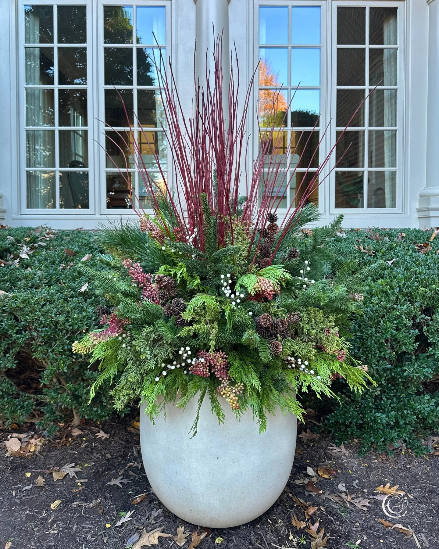 🤍From our home to yours, Merry Christmas. Aprons on&hellip;let the cooking begin!

#containergardeningideas #christmasinthegarden #winterporchplanters #holidaycontainergardens