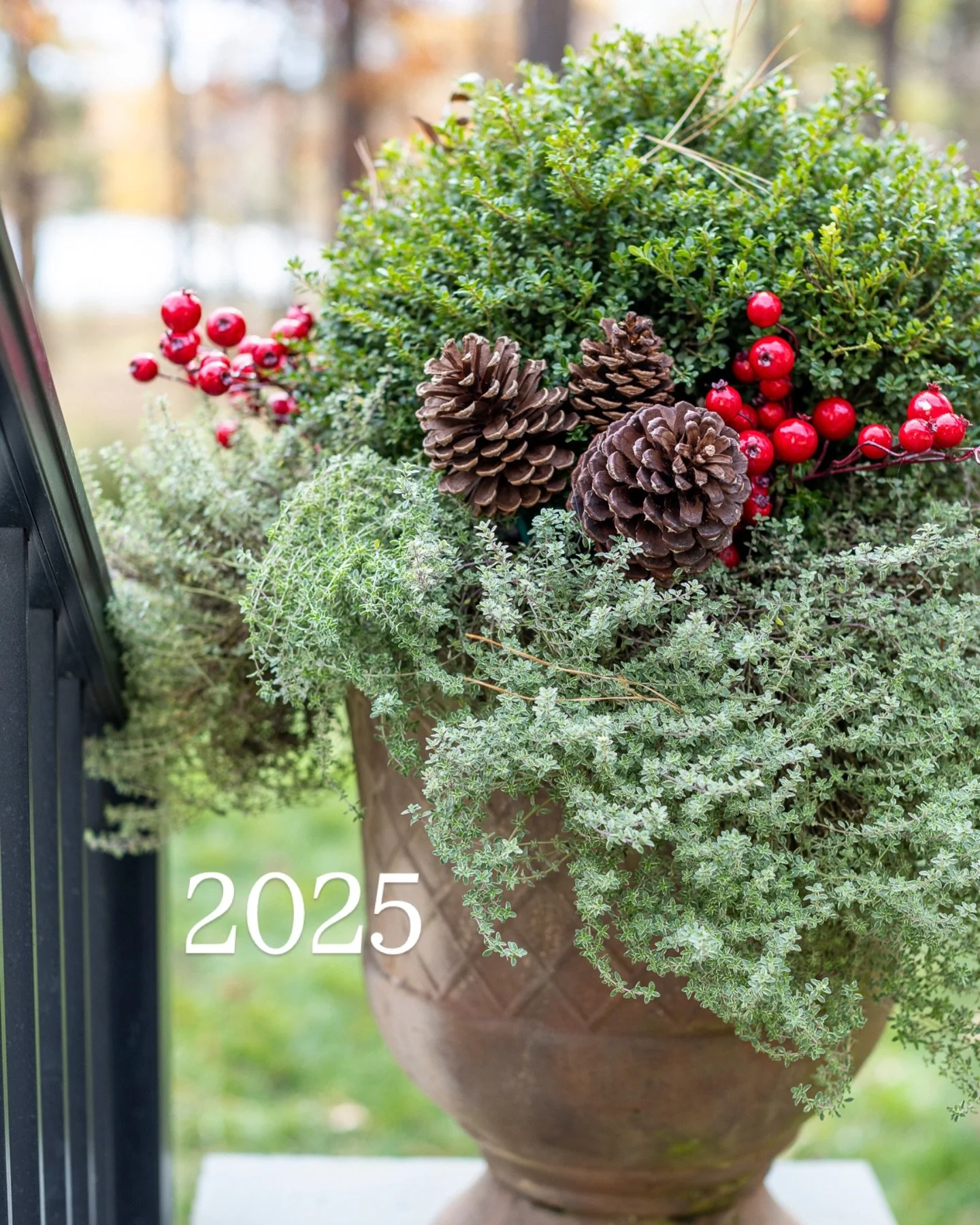 2025, you were full!🌿

Full of plants I couldn&rsquo;t wait to get my hands on.
Full of opportunities that stretched me in the very best ways.
Full of conversations that started as collaborations and turned into friendships.

This year grounded me c