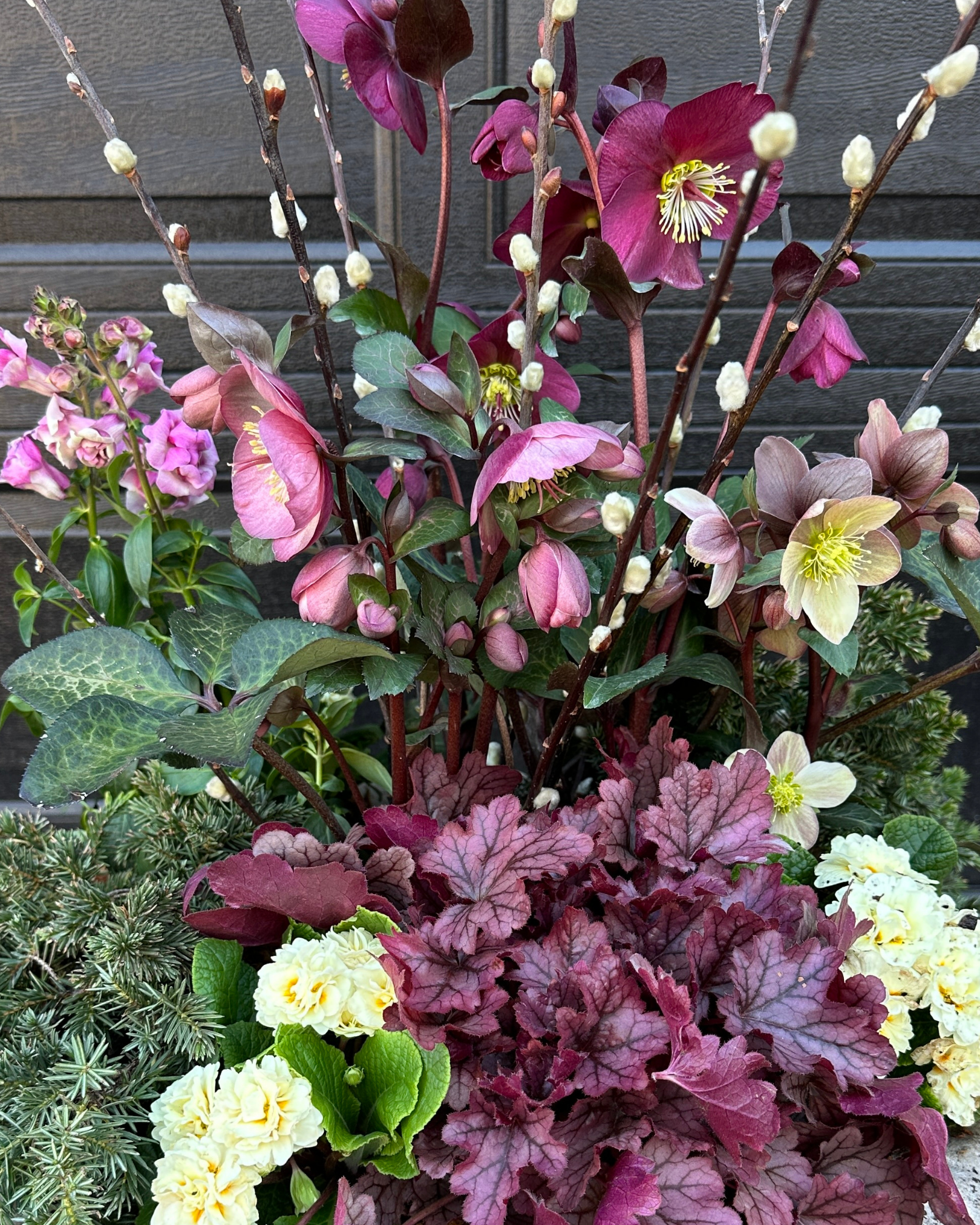 Hellebore + Heuchera
