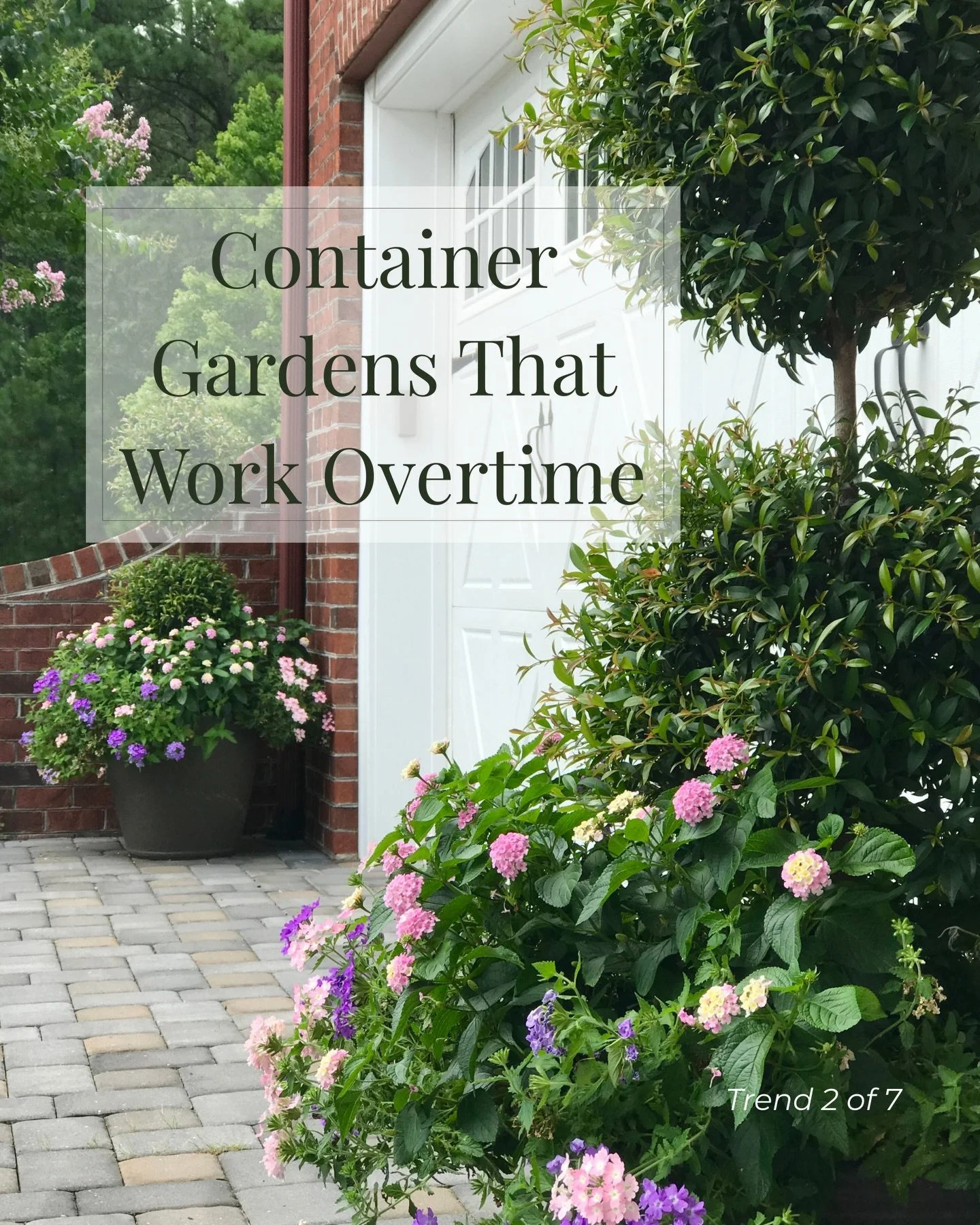 Continuing our look at 2026 container gardening trends&hellip;

🪴Trend 2: Container Gardens That Work Overtime

We&rsquo;re asking more from our pots this year. Containers are multitasking as edible 🫐, pollinator-friendly 🐝, and ornamental combos 