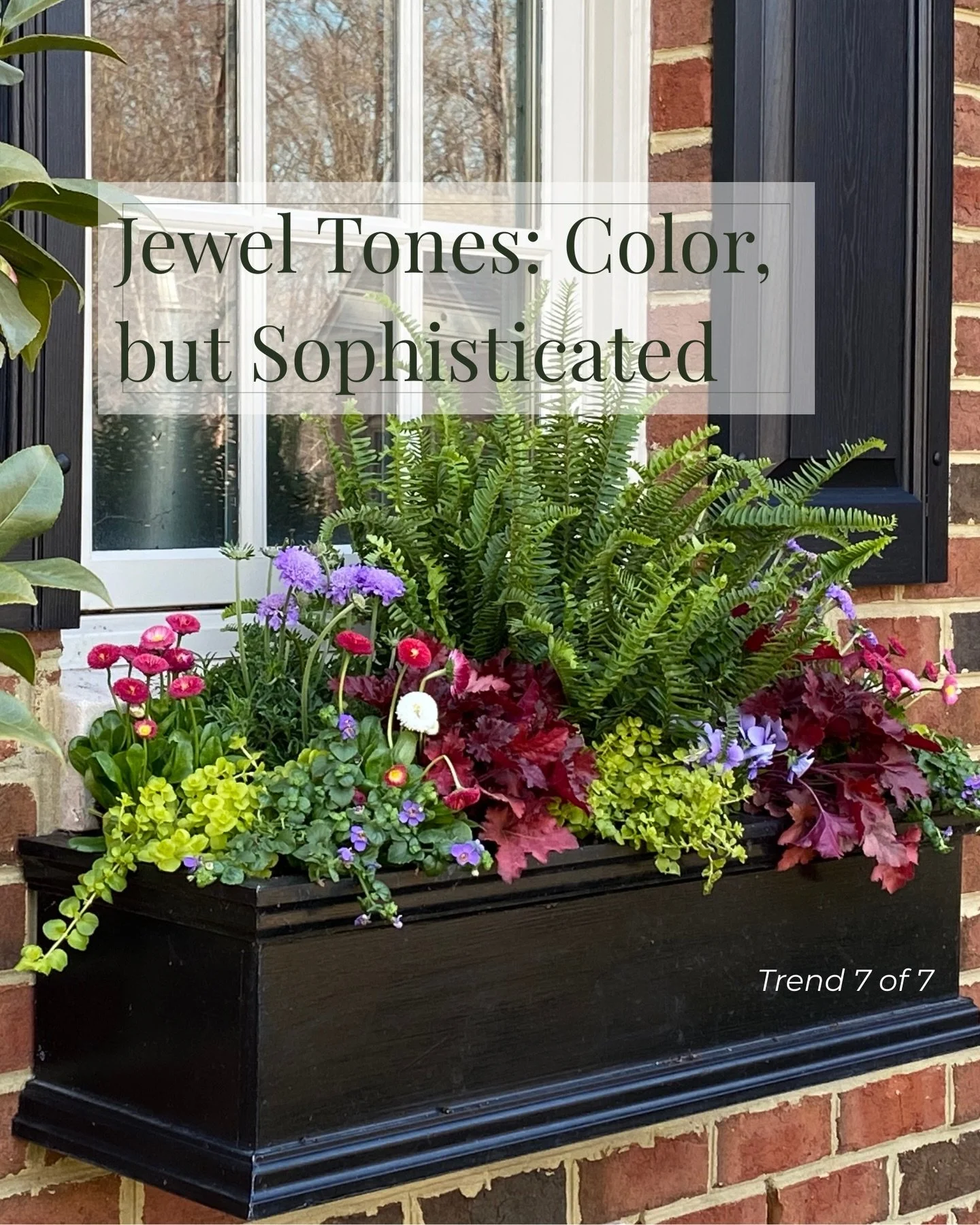 Happy March! Wrapping up my 2026 trends series with&hellip;

🪴Trend 7: Jewel Tones &ndash; Color, but Sophisticated

➡️ Swipe to see what I mean!

Jewel tones are where the 2026 color story gets really interesting. Think:
🍷Burgundy
🍆Eggplant
🫐Ink