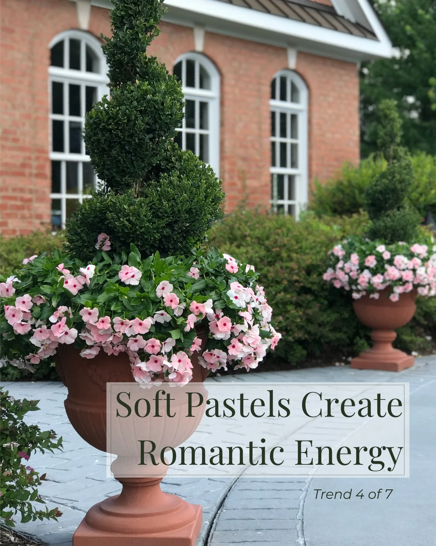 🪴Trend 4: Soft Pastels Create Romantic Energy

➡️ Swipe to see how! Isn&rsquo;t this one perfect for Valentine&rsquo;s Day?!🥰

Pastels are still going strong. Think:
 &bull; Peachy pinks
 &bull; Creamy whites
 &bull; Sandy neutrals
 &bull; Soft, ag