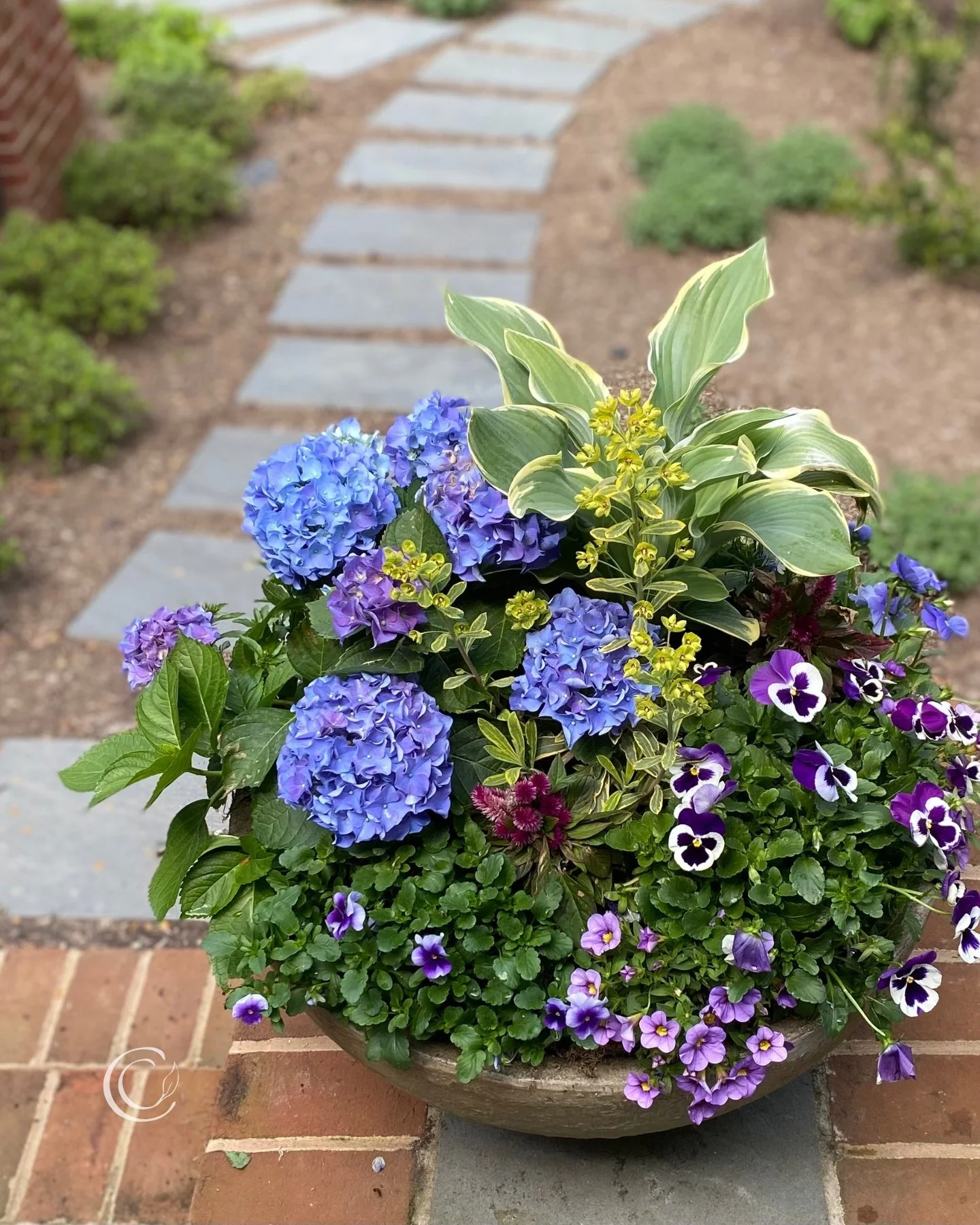 Some of my favorite spring container designs🌿
💬Comment SPRING and I&rsquo;ll send you the links to these recipes.

#containergardeningideas #springflowers