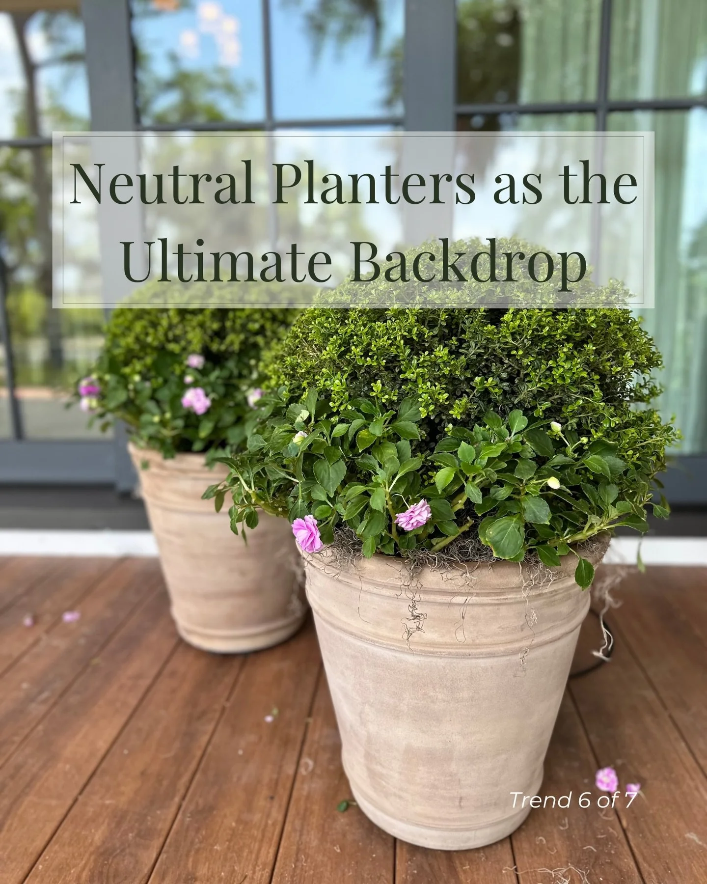 🪴Trend 6: Neutral Planters as the Ultimate Backdrop ➡️ Swipe to see how I put &lsquo;em to work.

Neutral pots aren&rsquo;t boring. They&rsquo;re selfless! Unglazed terra cotta, aged stone, and limestone finishes blend with surrounding architecture,