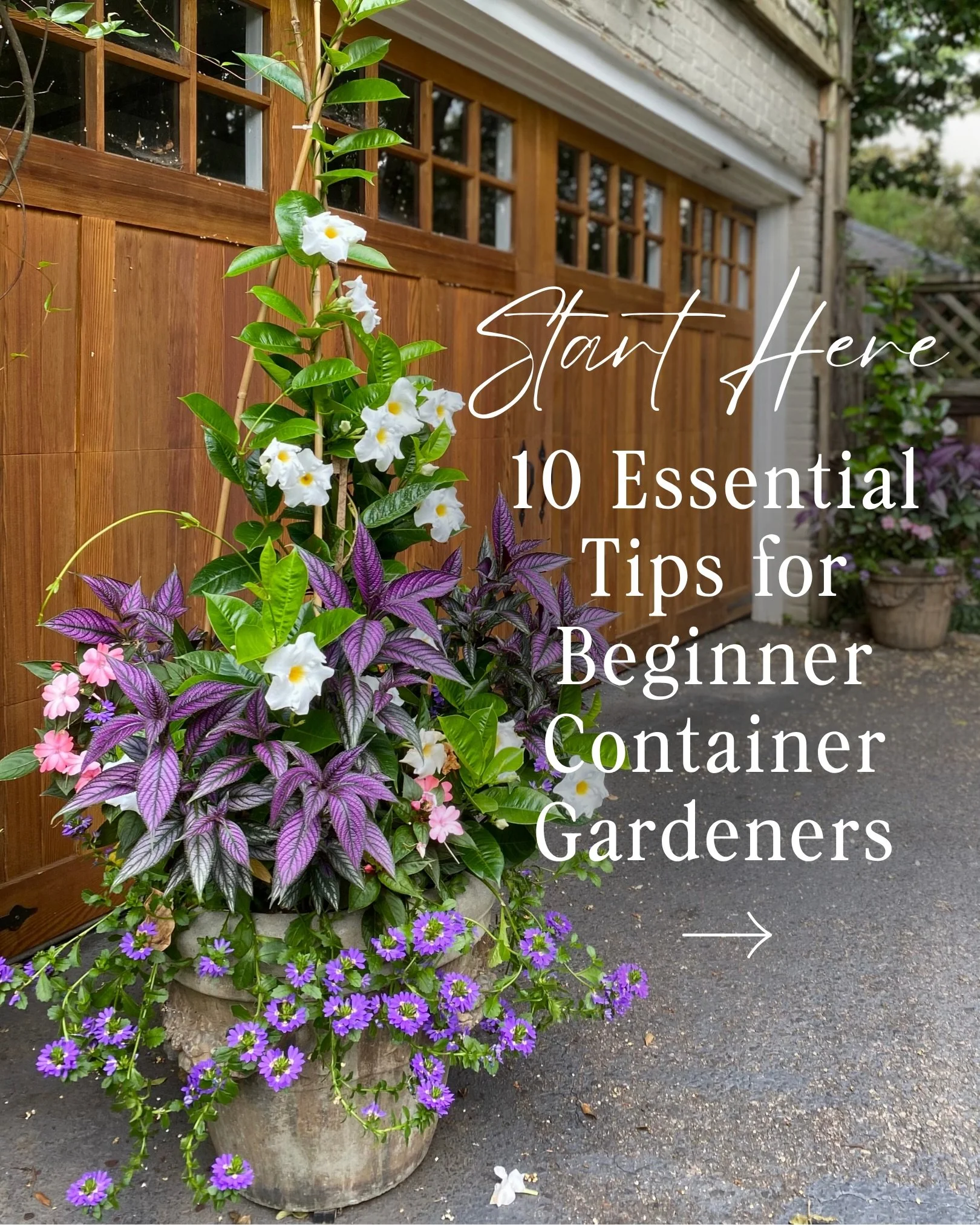 Hey there!🌿

If you&rsquo;re new here and hoping to grow more beautiful container gardens, this is a great place to start.

Over the years, I&rsquo;ve realized most container gardening success comes back to a handful of foundational concepts: draina