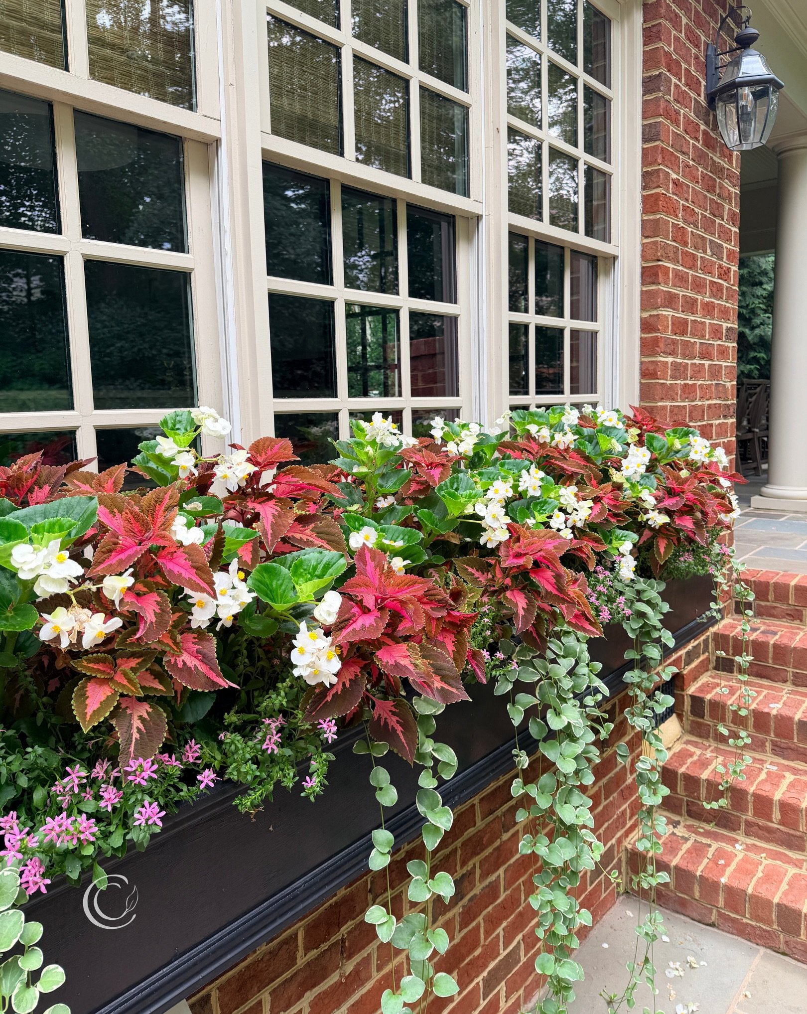 🍁Could be my imagination, but I felt a slight chill in the air this morning. 

My summer planters and window boxes still have plenty of life left, and the 🌻Black-Eyed-Susans and 🦋Butterfly Bushes are putting on a big show in the garden. 

But I ca