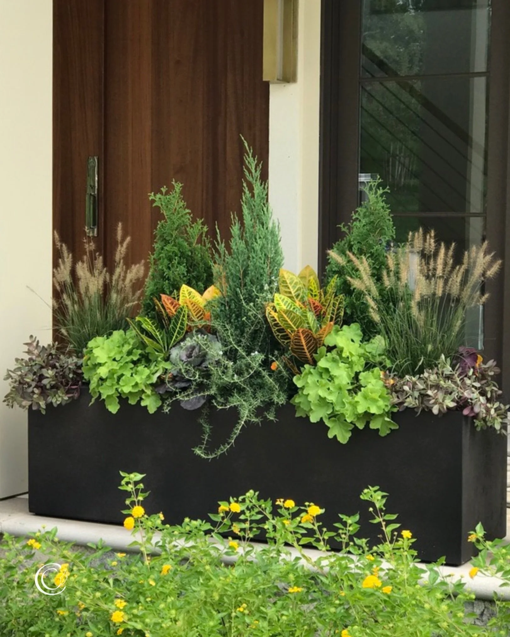 Fall is right around the corner! Here are seven of my favorite planter looks ➡️

Some are colorful, some are quiet, some are a little unexpected, but all are proof that there are so many ways to style your fall containers!

Looking for detailed plant