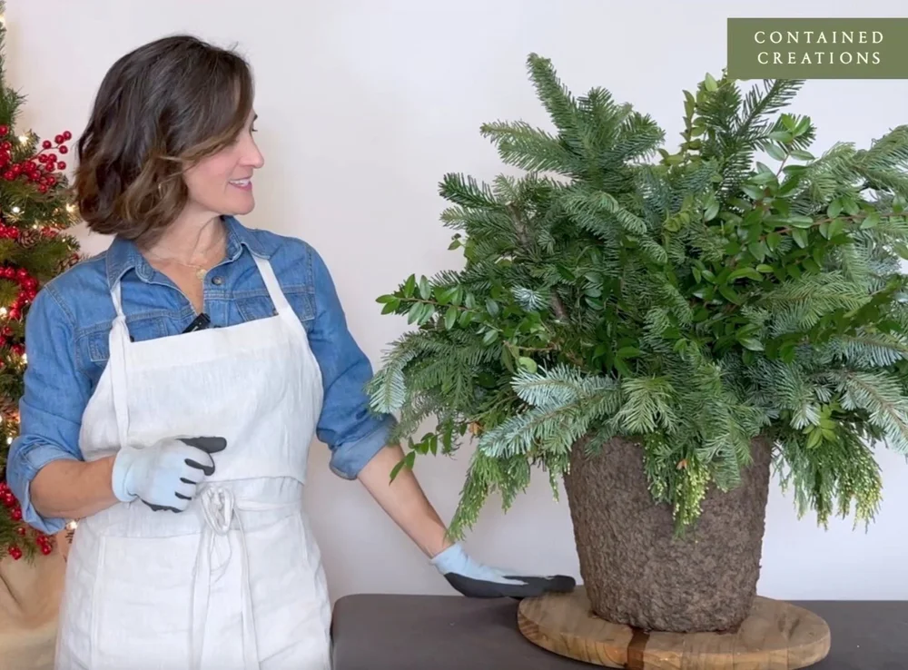 Online Class Winter Container Gardens — Contained Creations