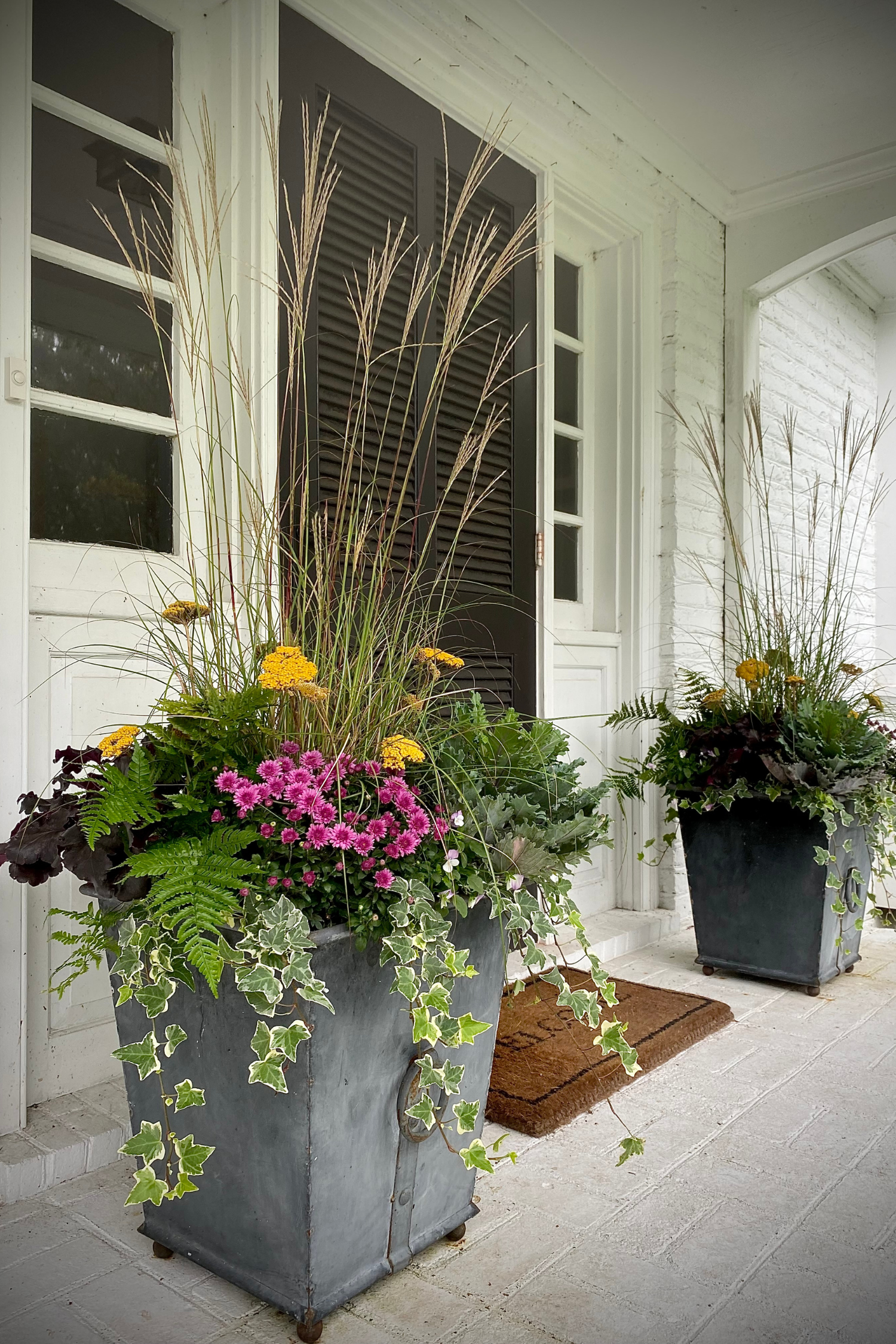 indoor plant potting mix Indoor Soil – Tropical Plants of Florida main image 1
