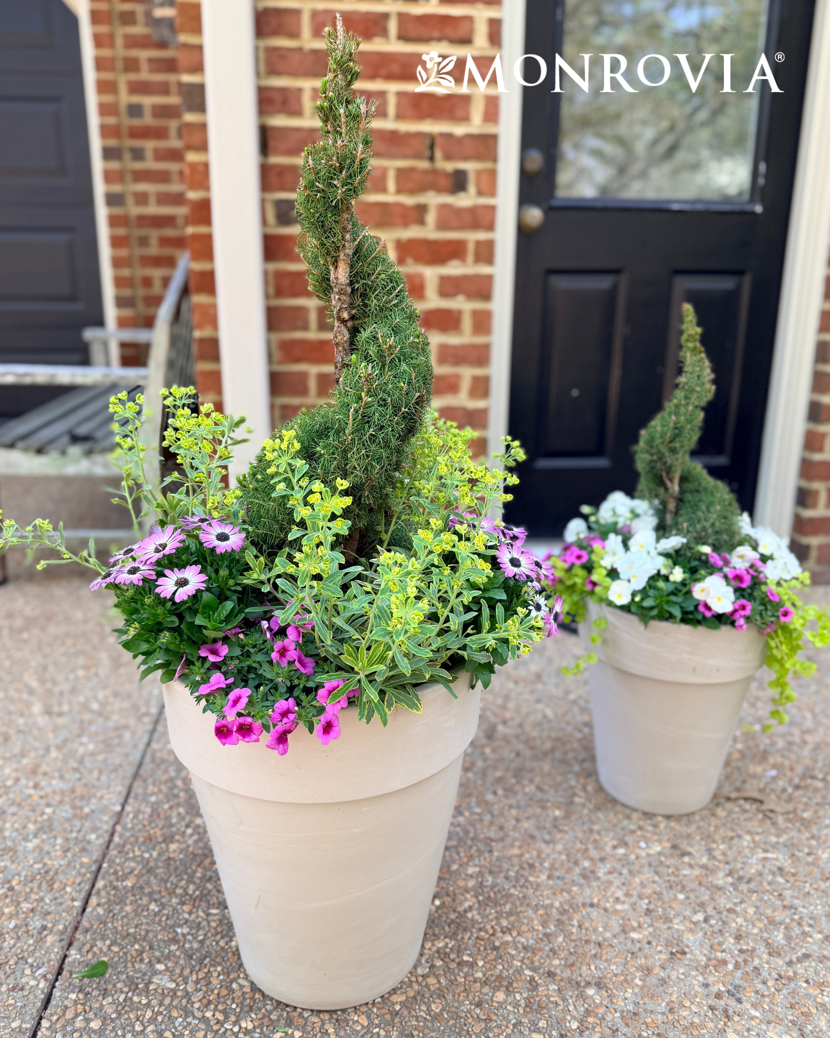Spring Spiral Planter Duo