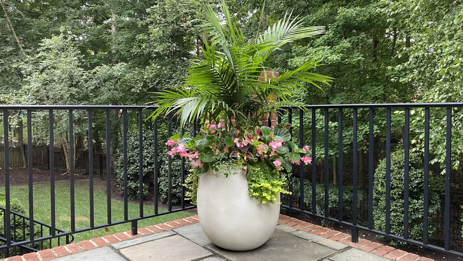 Online Class: Ultimate Guide To Container Gardening — Contained Creations