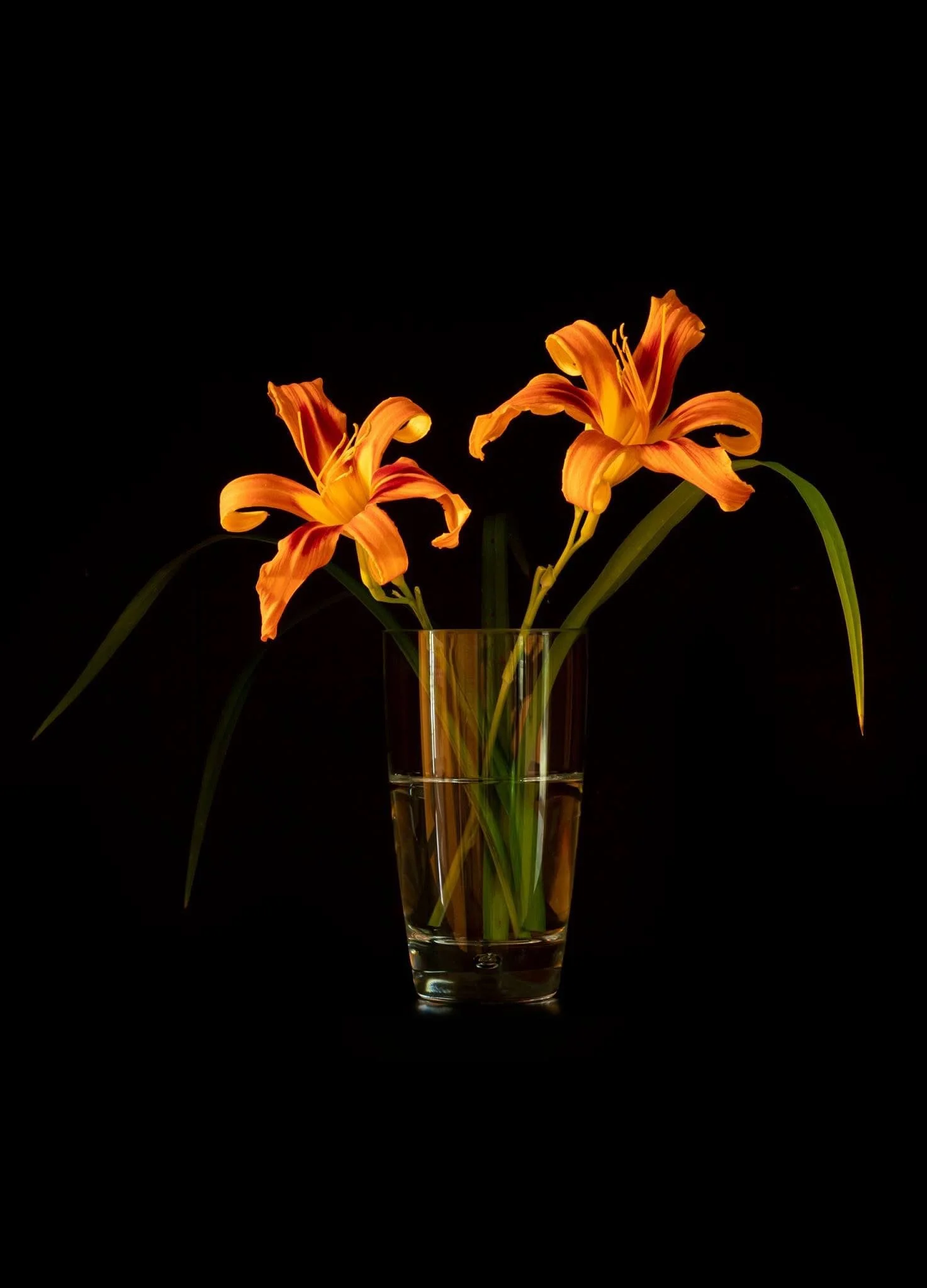 Fiery Lilies.