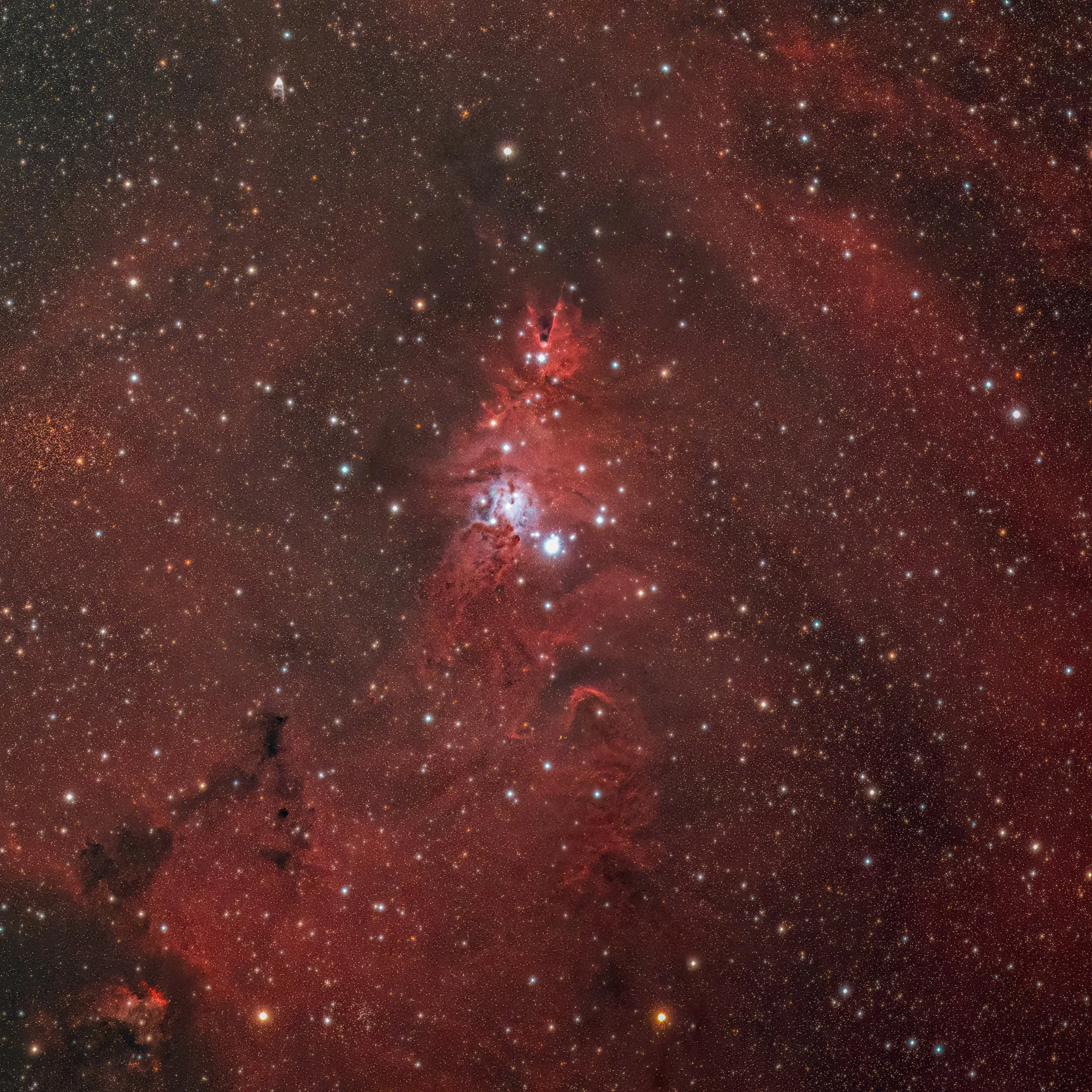 NGC 2264 complex, including: Cone and Christmas Tree nebulae, Snowflake and Fox Fur  nebulae. All of the objects are located in the Monoceros constellation and are located about 2,300 light-years from Earth.  
