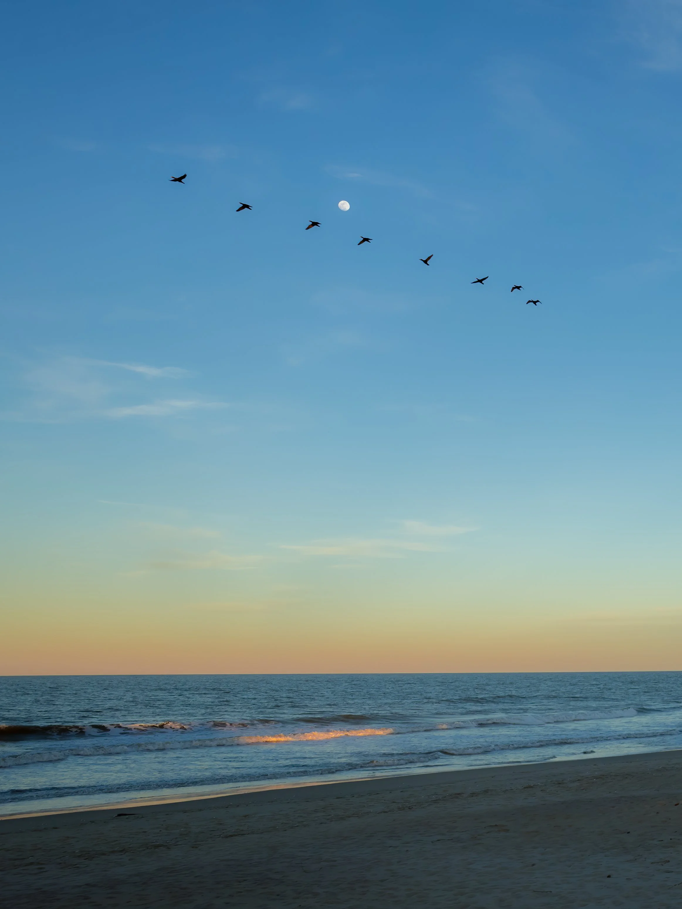Sunset on Pea Island, OBX.