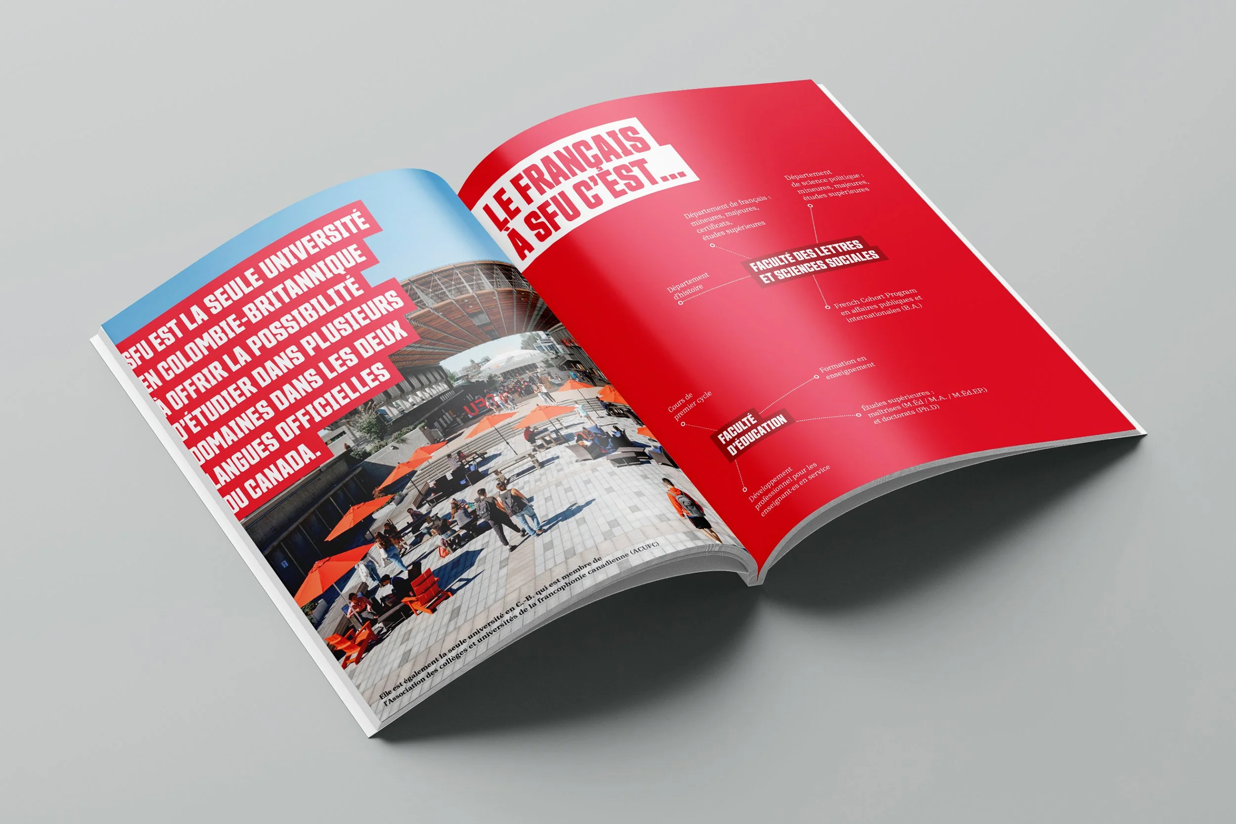 SFU - BAFF | Brochure