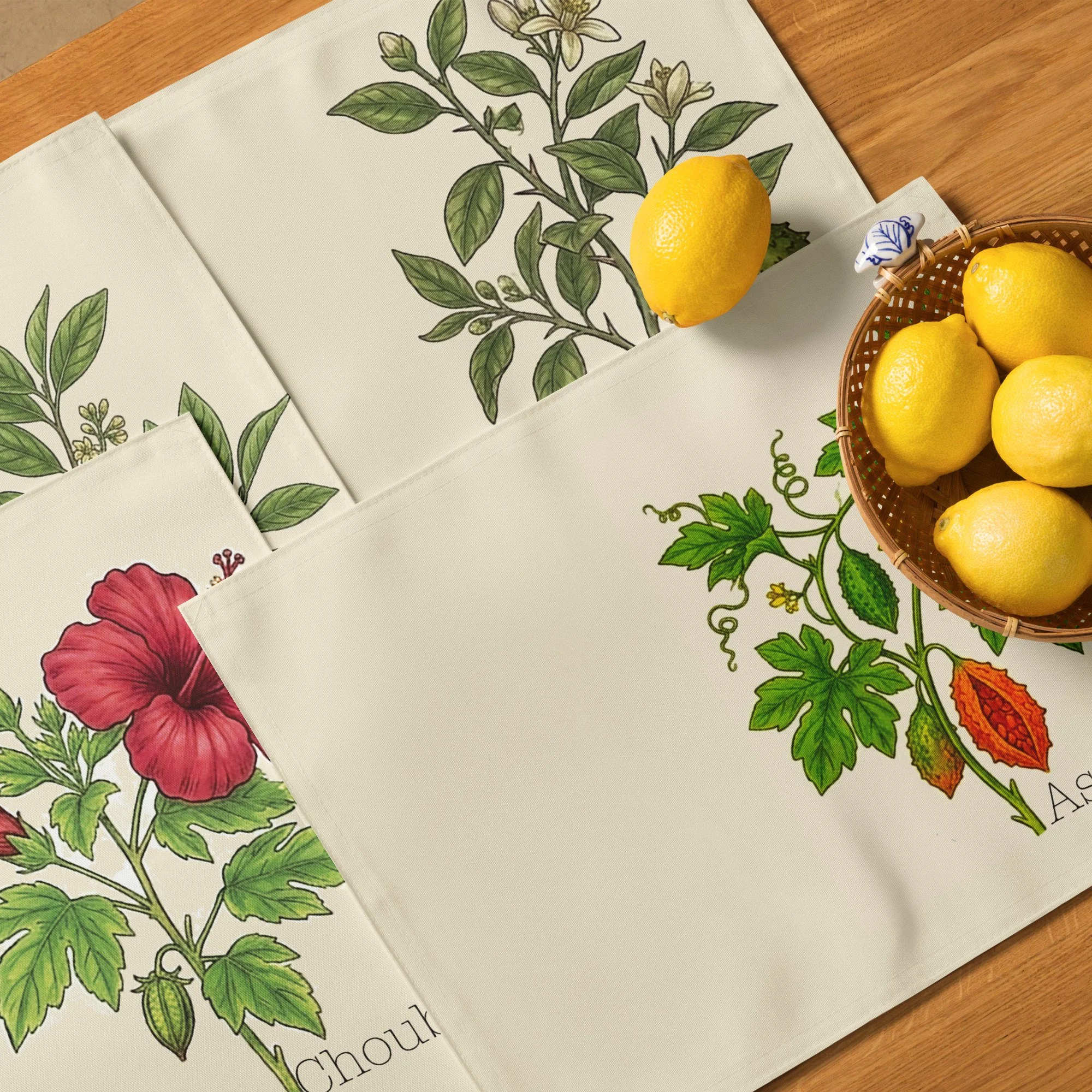 placemat-set-(4)-white-front-6aadf2561f3e3.jpg
