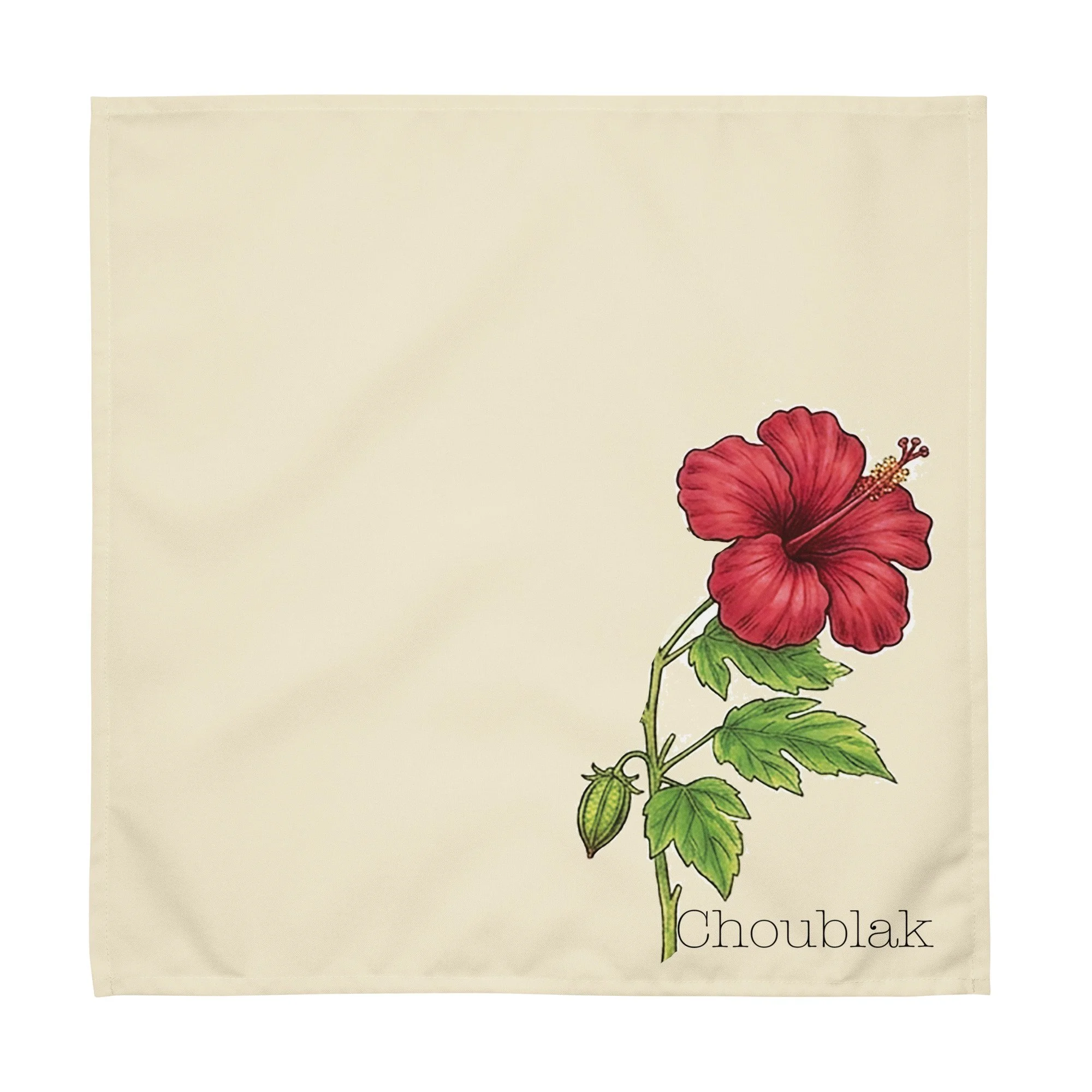 cloth-napkin-set-(4)-white-front-2-6aadfeba2119a.jpg