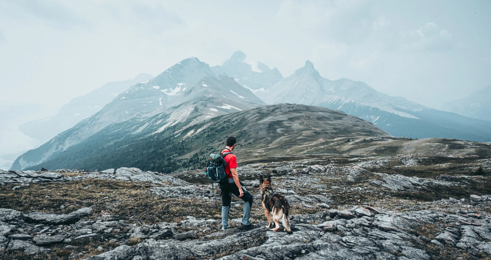 Building Resilience: Unveiling the Science of Mental Toughness