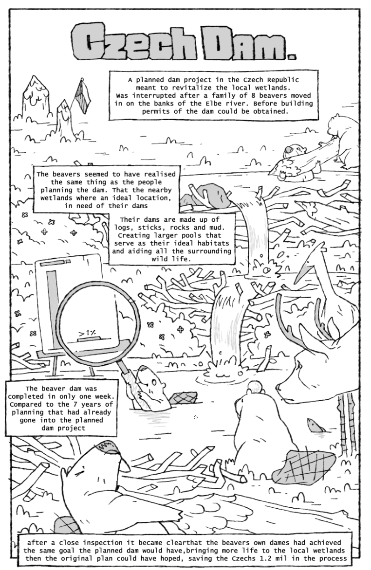 Czech beaver dam.png