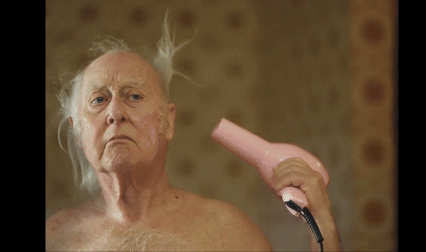 Pedigree dog dates.gif