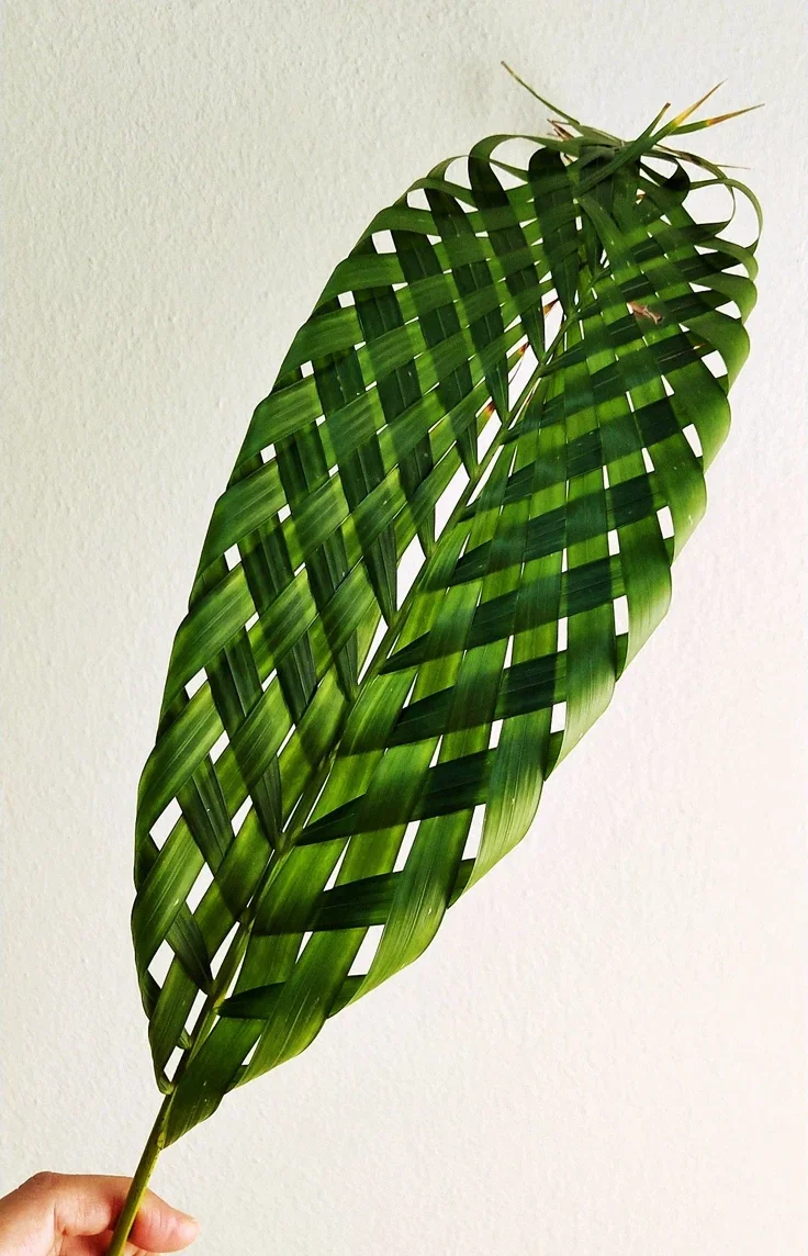 Weave &amp; Unwind ; 7/19