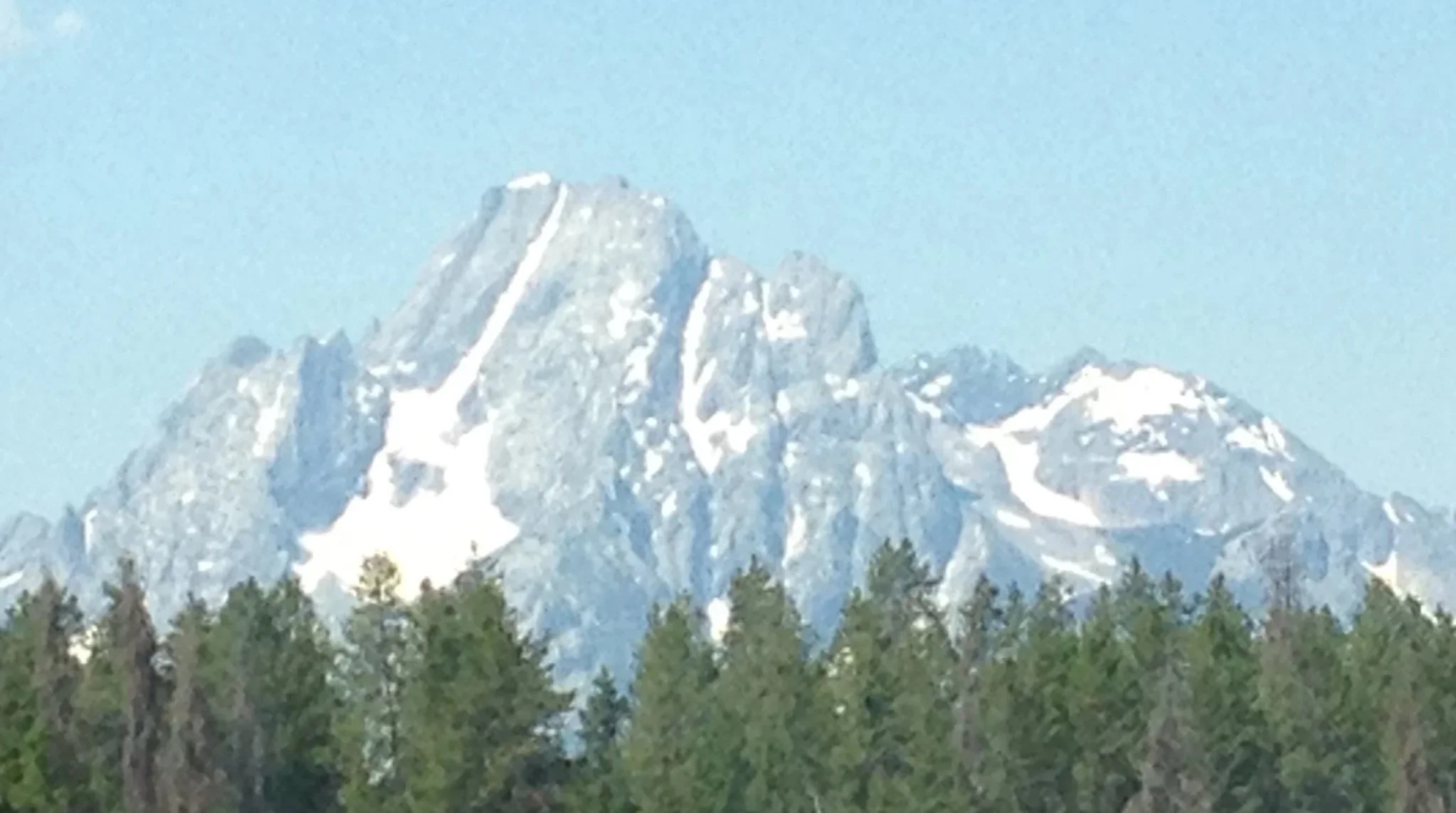 A mountain beyond the evergreens