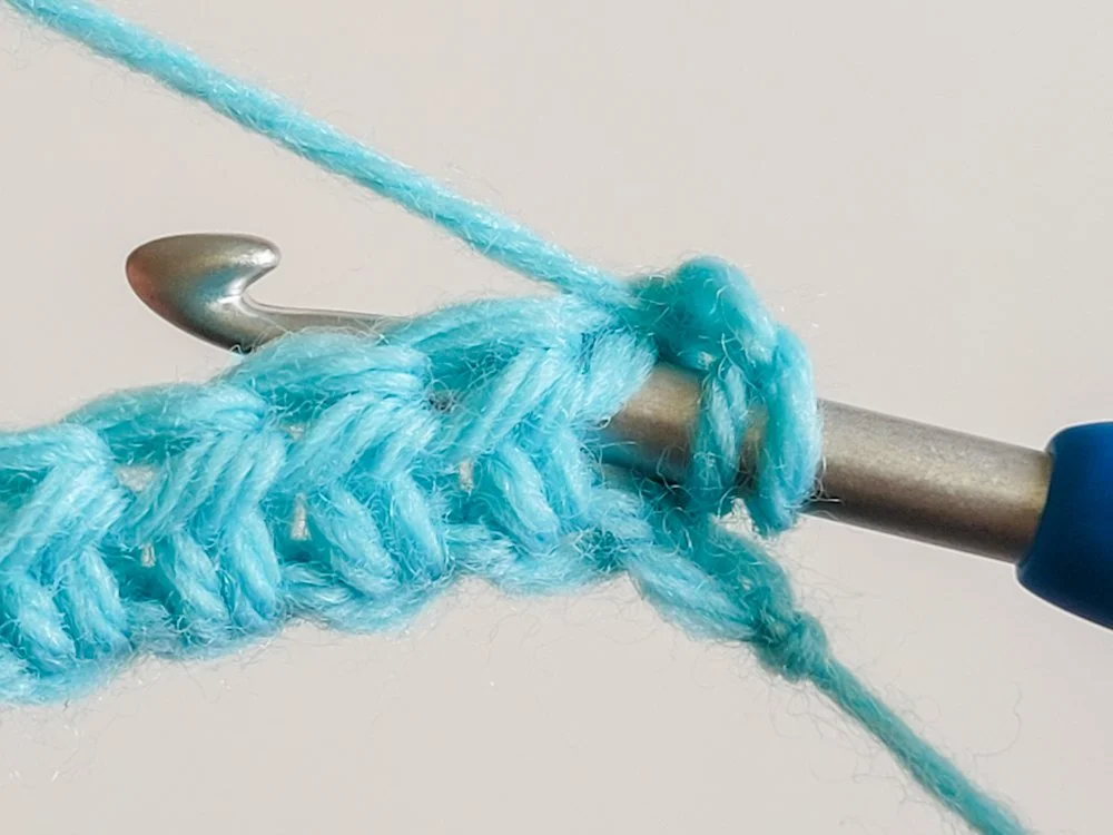 Hook inserted into space between first two stitches.