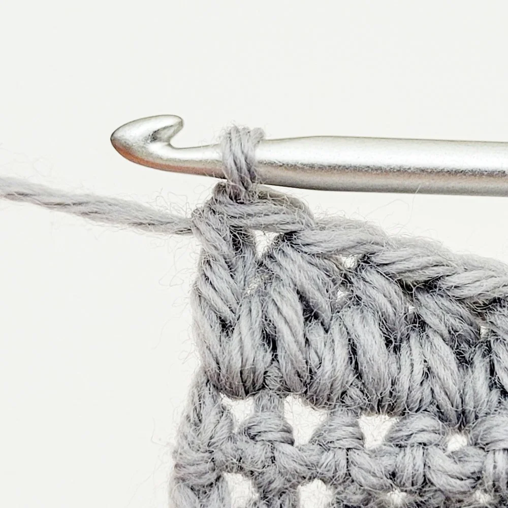 A double crochet stitch worked into the last stitch of the row. Row 2 complete.