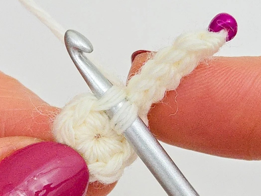 Five slip stitches complete. Hook inserted in front loop only of next single crochet.
