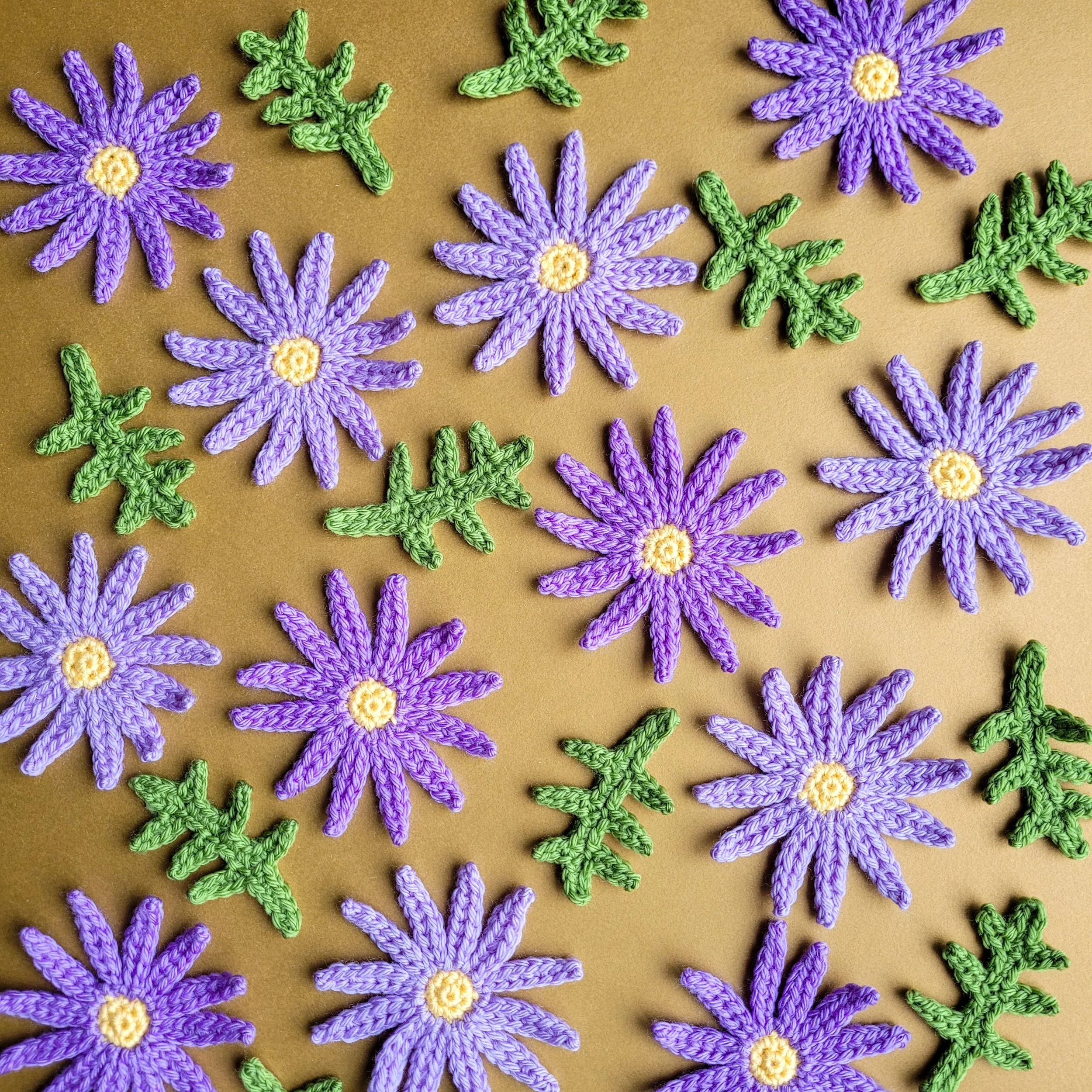 Tansyleaf Tansyasters