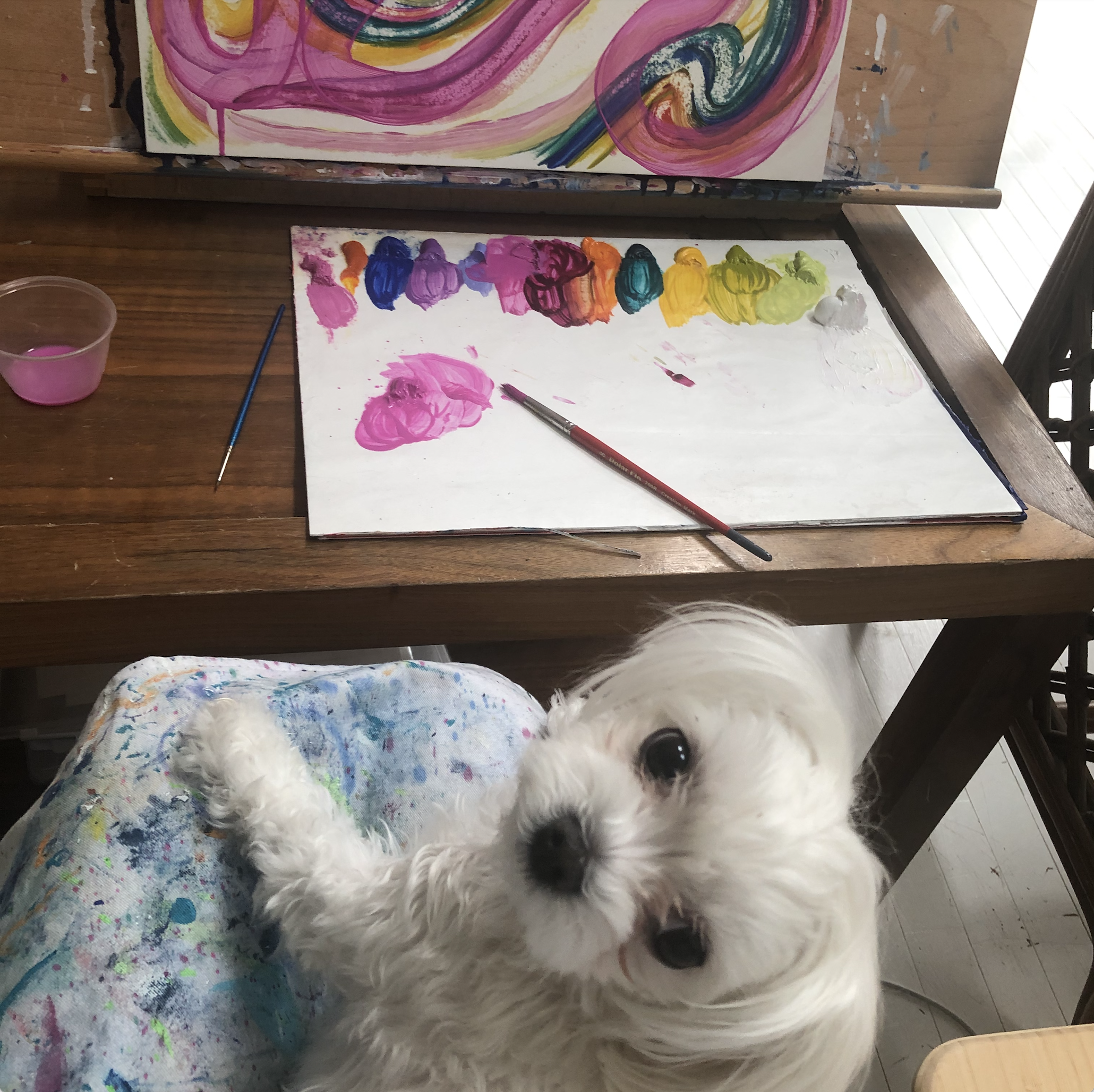 _studio assistant.png