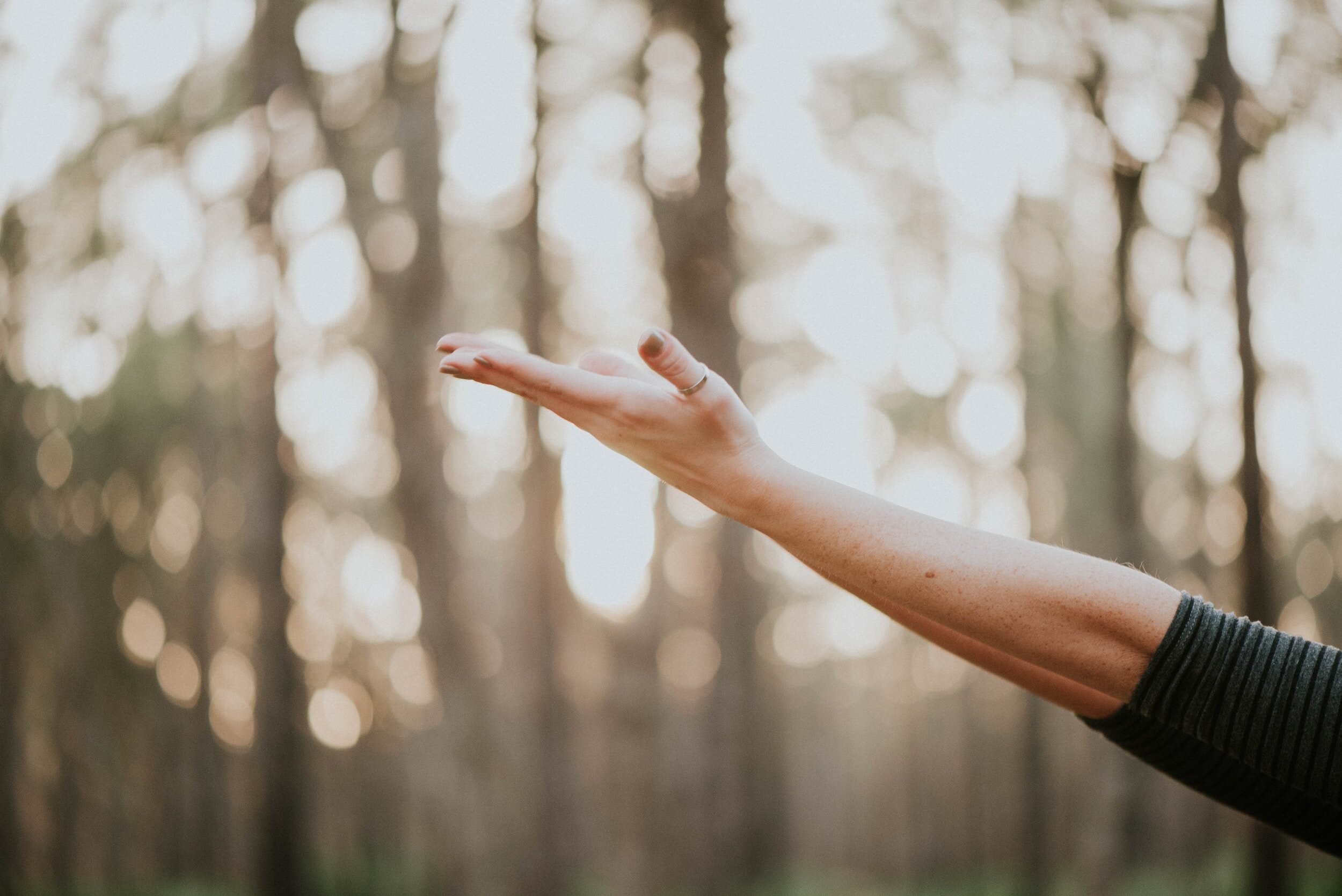 The Art of Inner Stillness - Restorative Yoga
