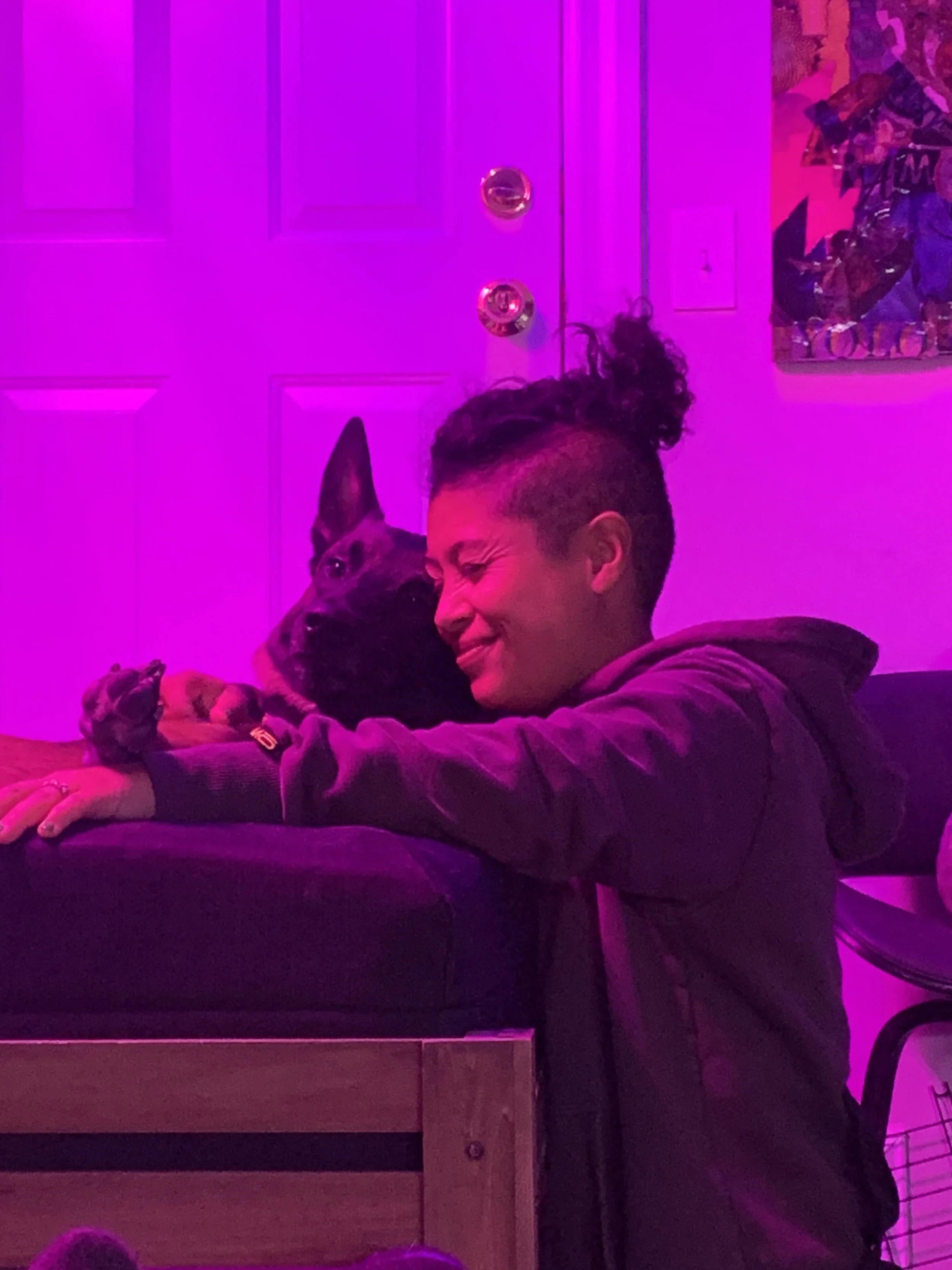 Gray Fox is my very first working line sport dog. This dude has pushed me to catch up with him & has only continued to sharpen & perfect my handling skills. Learning with him has been like learning how to drive a ferrari. 