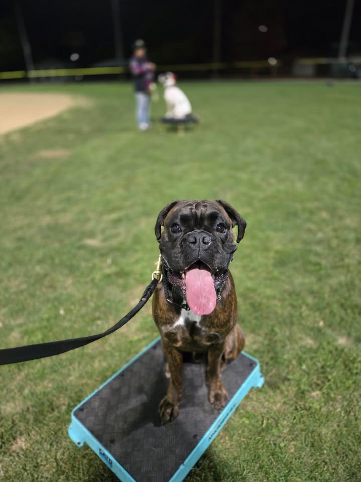 85D237C7-BE7C-4A9D-B76B-197A87A016AB 2.JPG