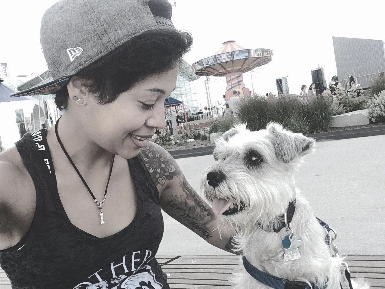 The most interesting dog in the world, my sidekick. Riku was my first dog to care for on my own. He ignited my passion to pursue my dog training career.