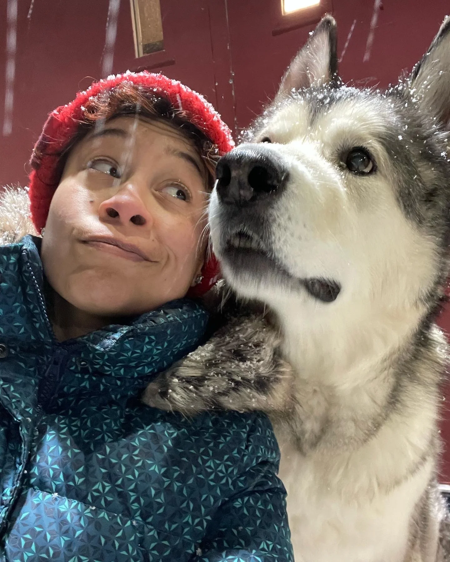 Ghost, the goodest-bad boy. A street dog turned demo dog. He went through training school with me. We were always an odd pair, total opposites. But we learned to work together & became  an unstoppable duo. My demo dog. 