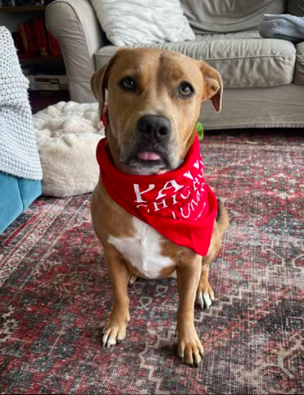 Screen Shot 2024-12-17 at 7.06.51 PM.png