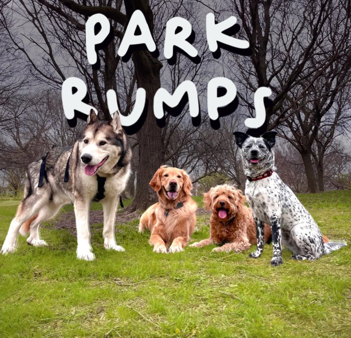 Park Rumps.jpg