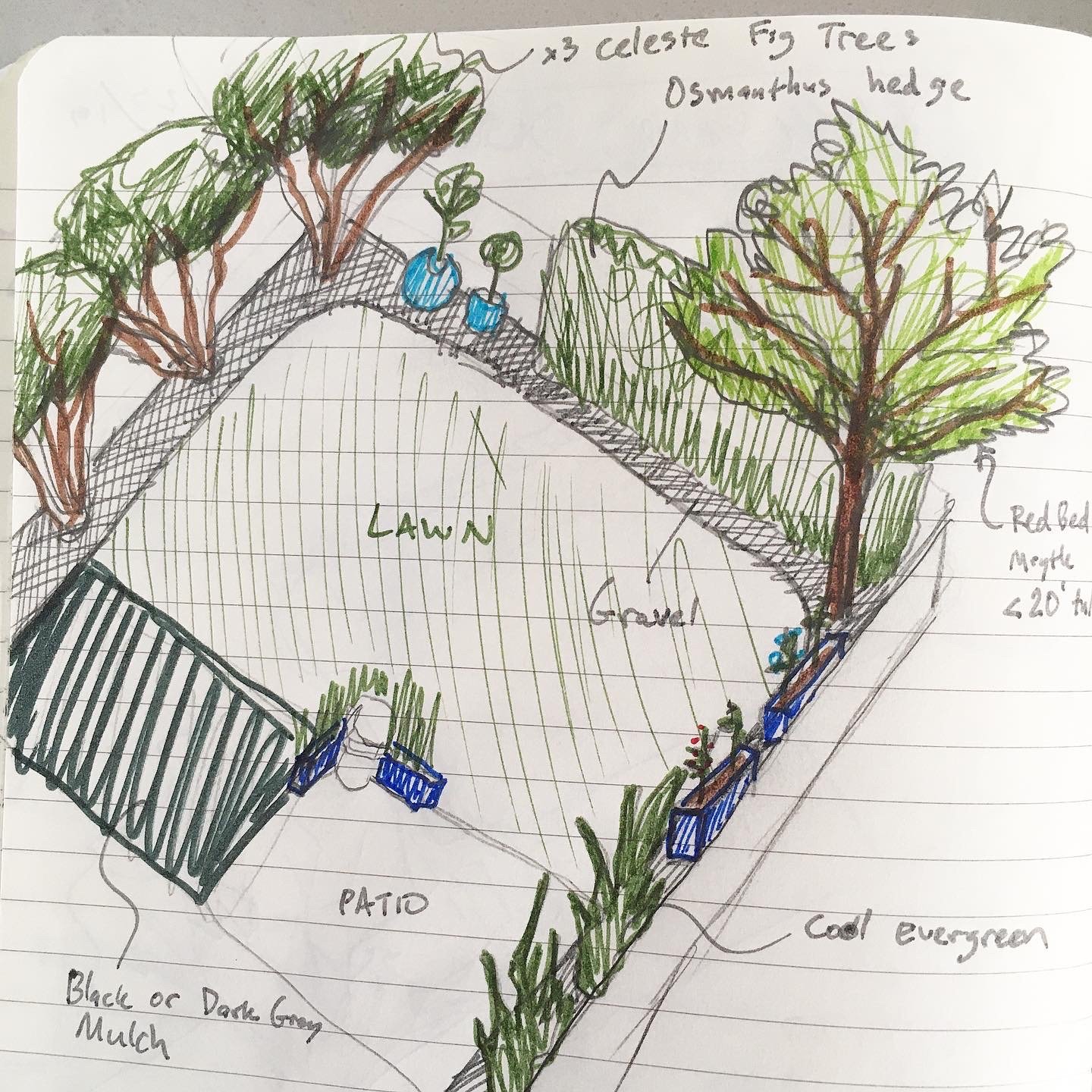 Backyard Design
