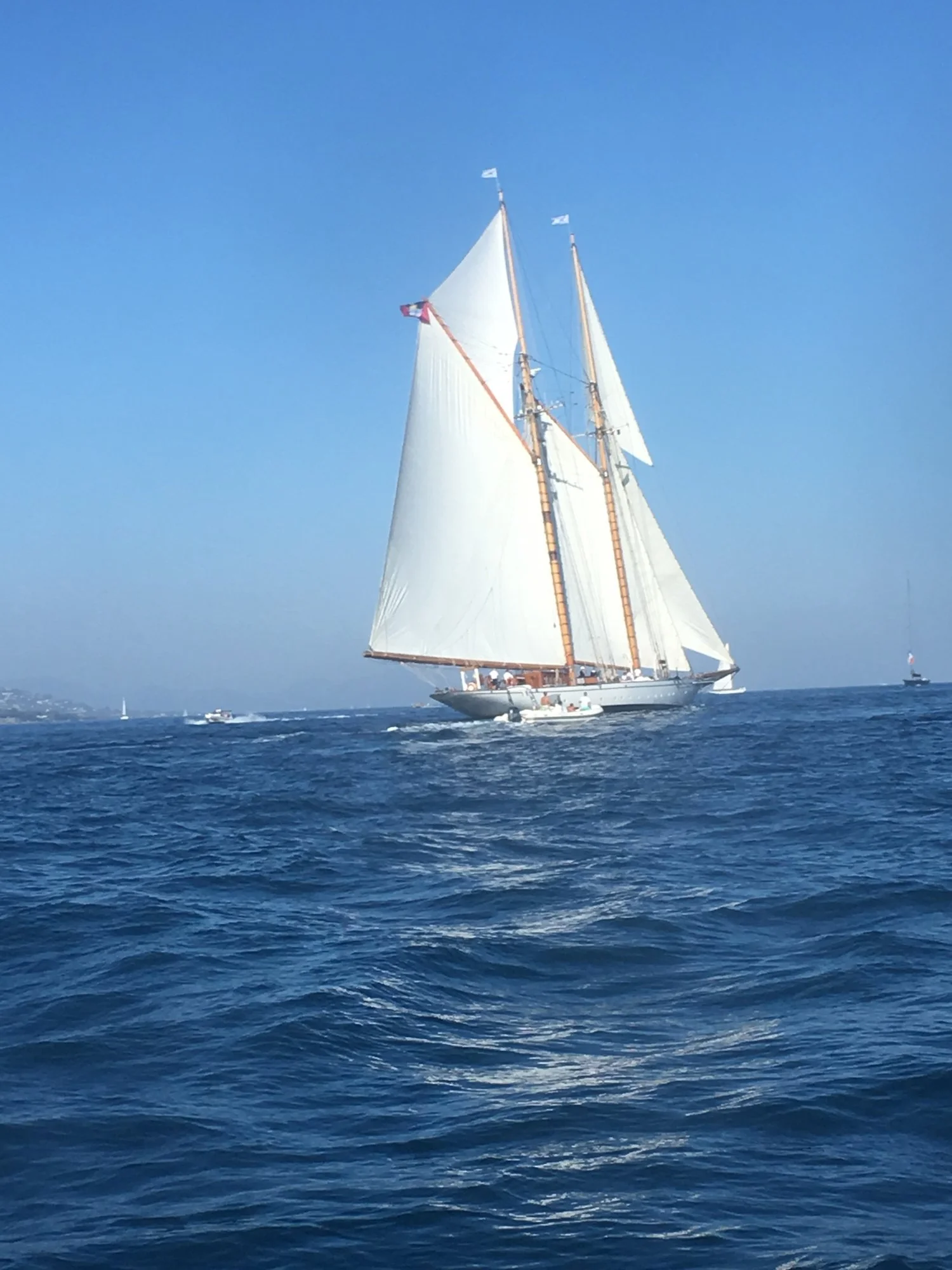  Yacht regatta this weekend!&nbsp; 