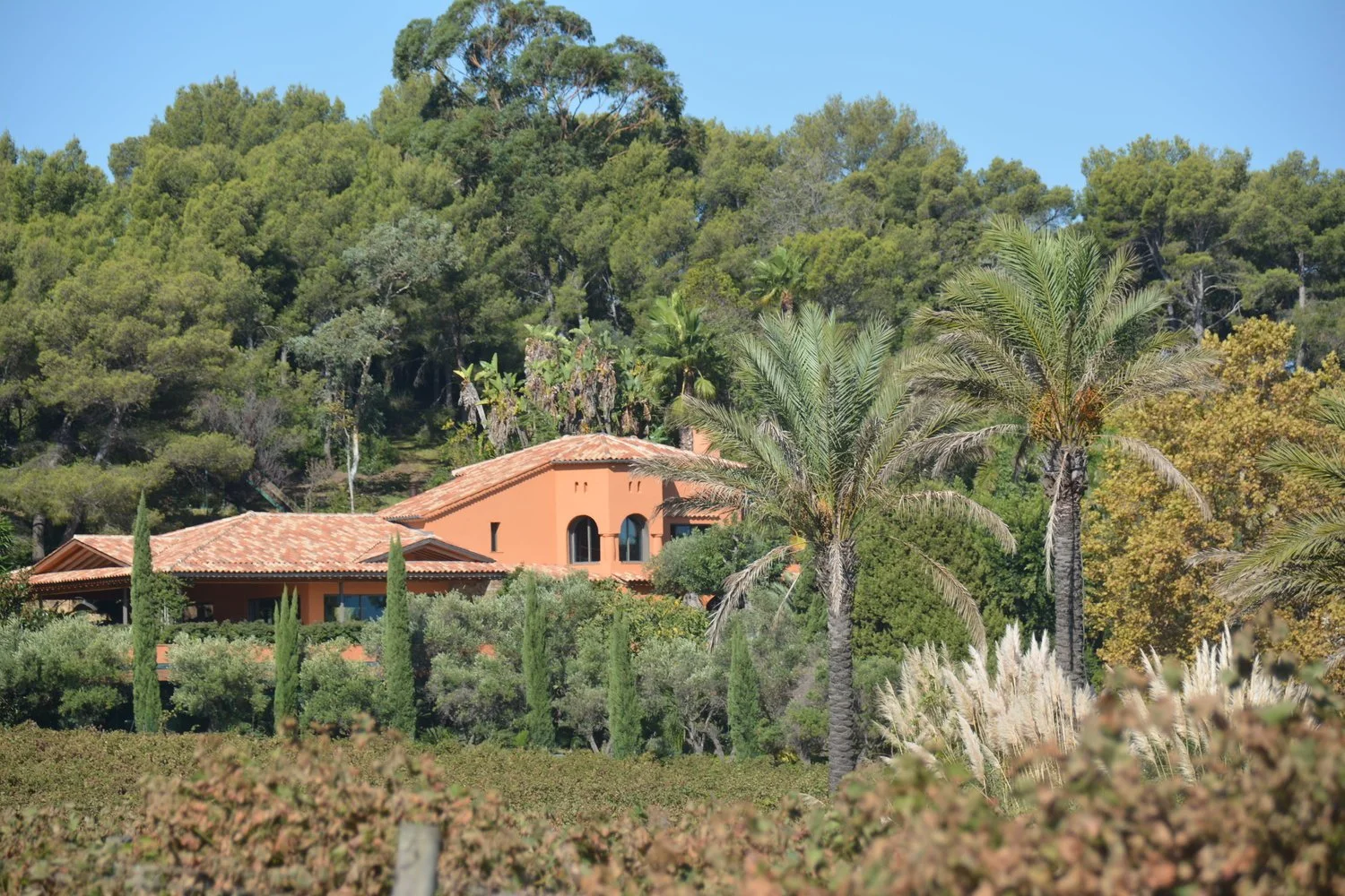  Winery 