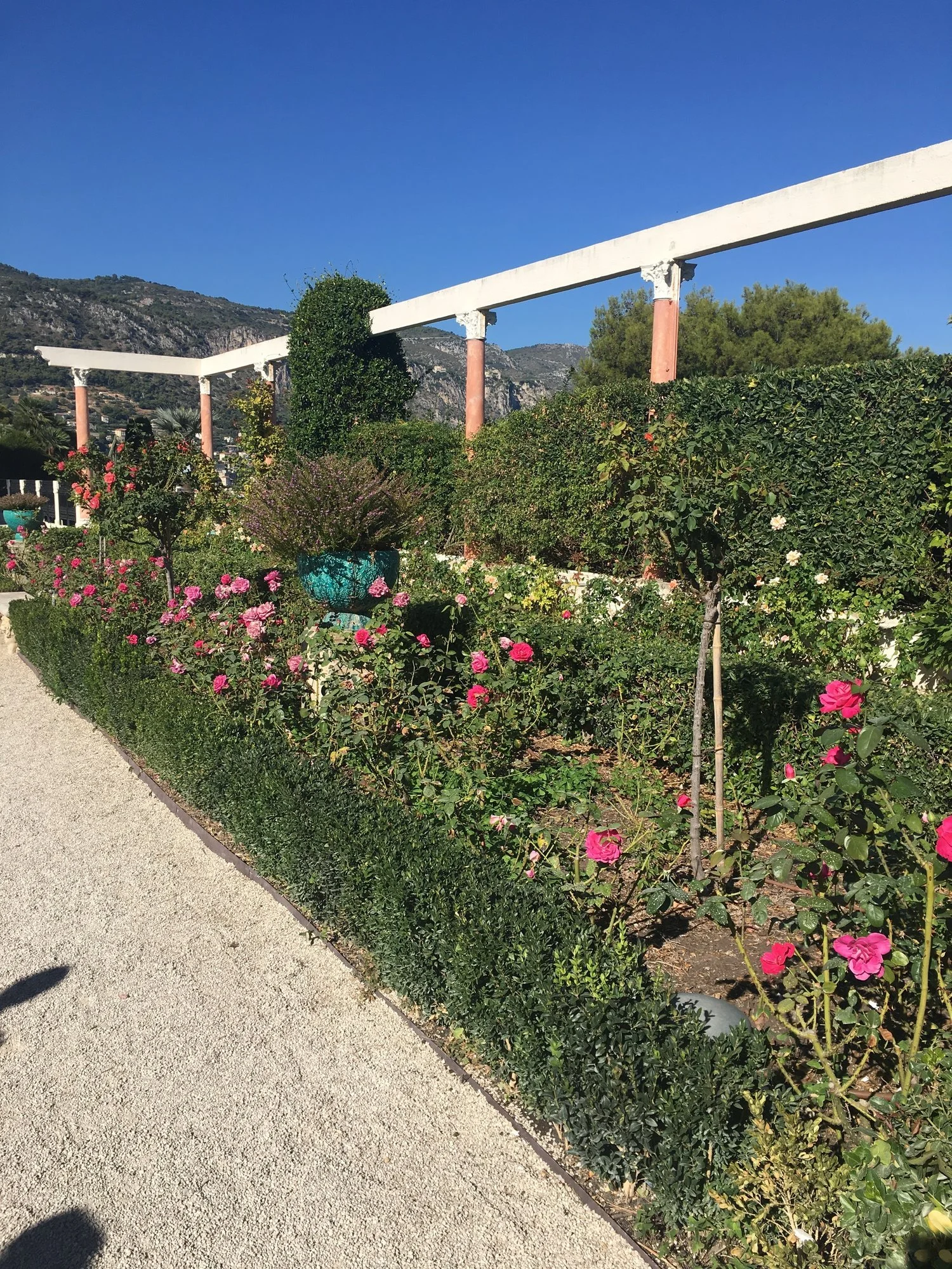  One of many beautiful gardens. 