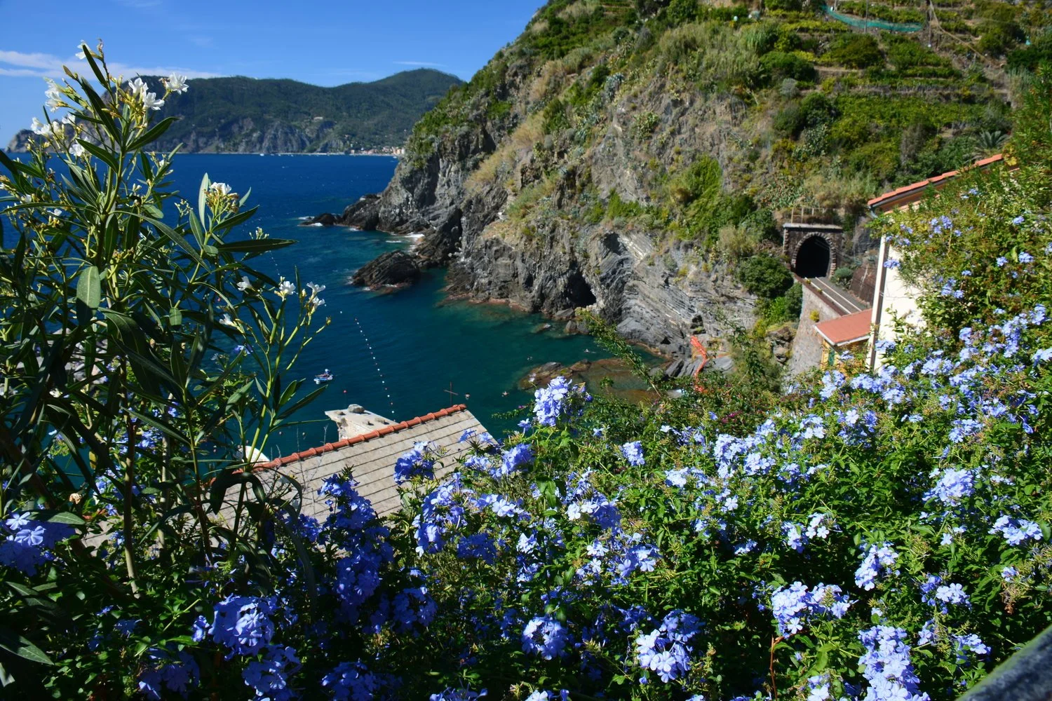  Italian Riviera is beautiful. &nbsp;Oh, what it would be like to look out your window in the morning and see this every day! 