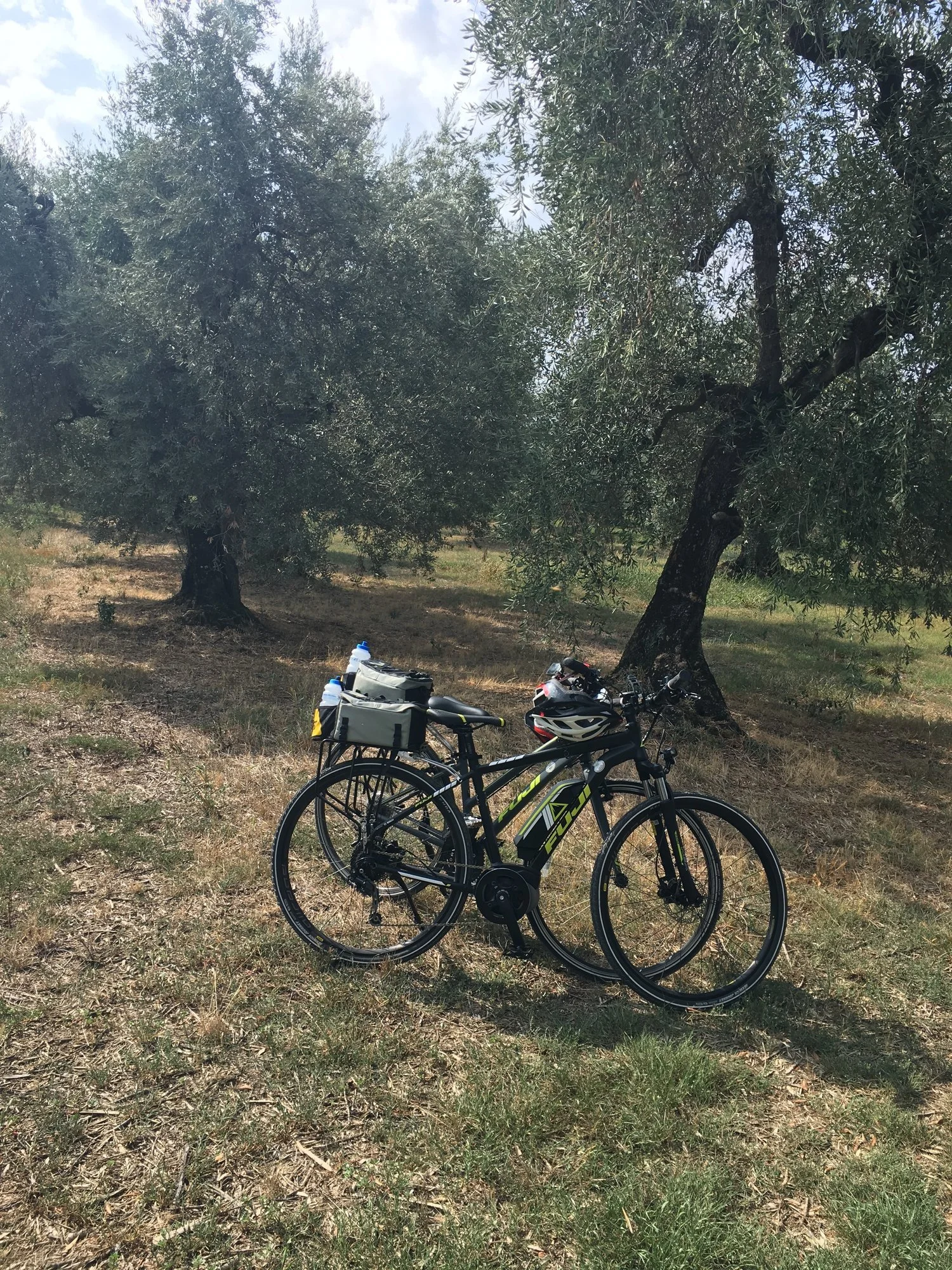  Our ‘best friends for the week’ take a break in an olive grove.&nbsp; 