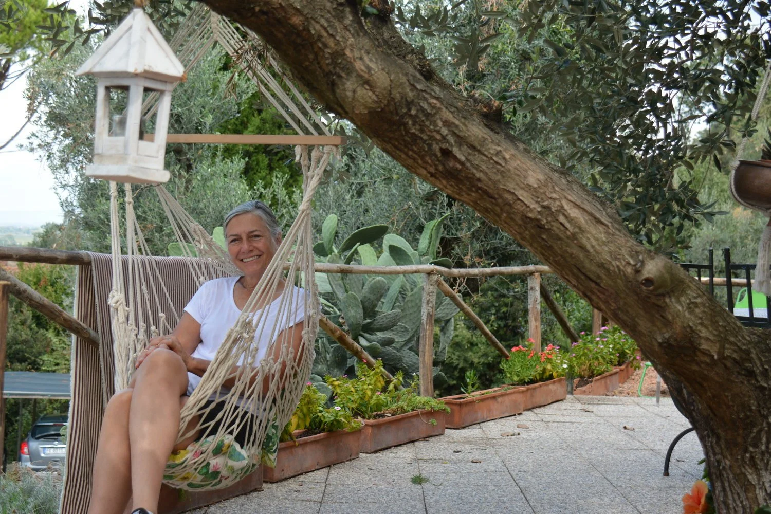  Relaxing under an olive tree.&nbsp; 