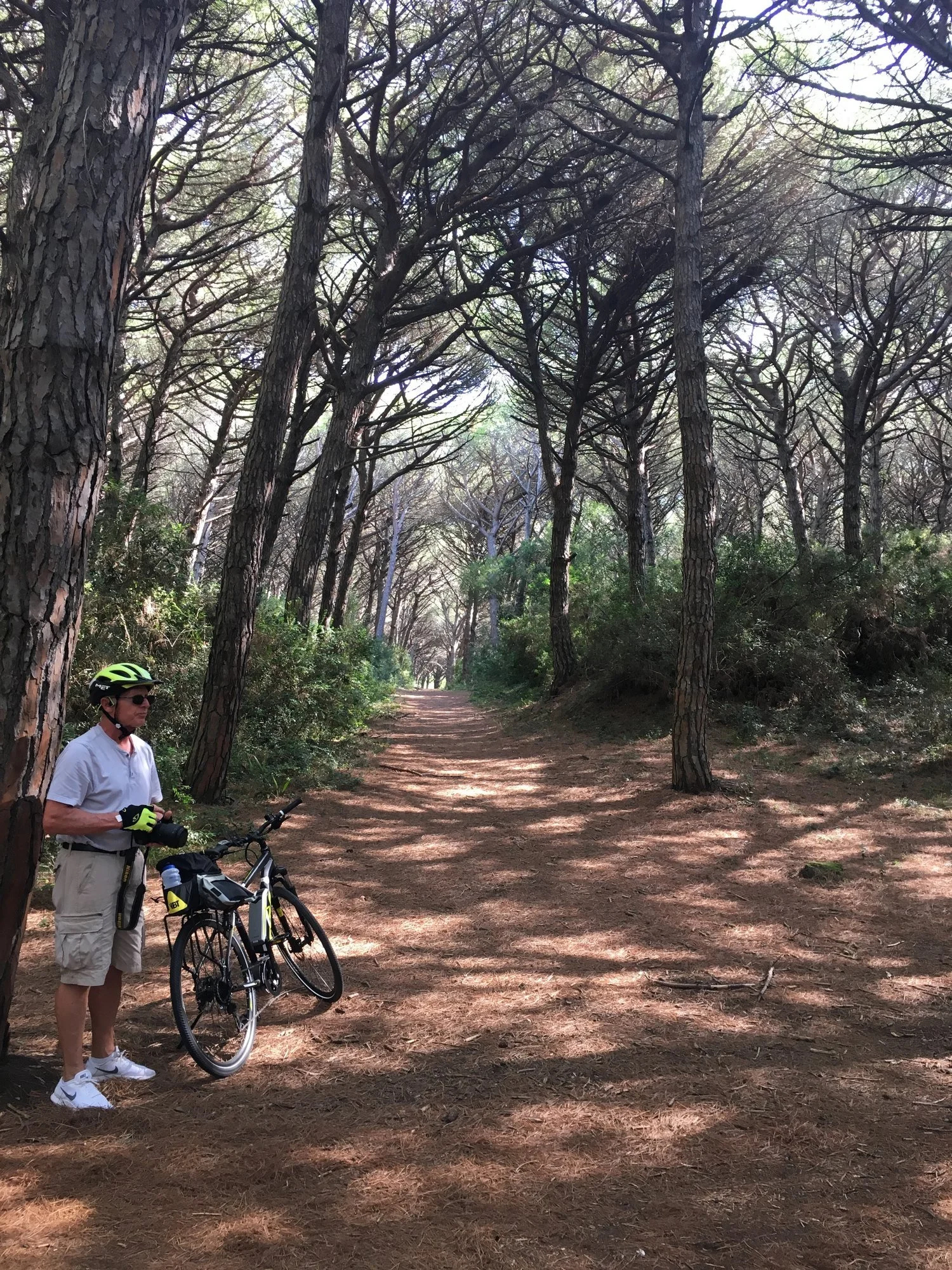  Ride through the National Park which is a pine forest. &nbsp;These pine trees are the type that pine nuts are harvested from. &nbsp;We learned how difficult the process is and why they are so expensive. 