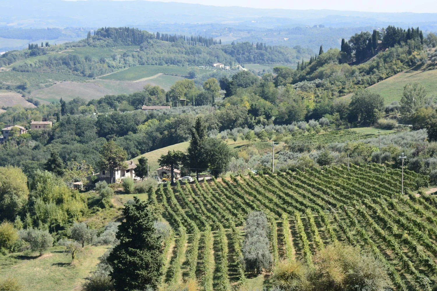  Typical view of Tuscany.&nbsp; 
