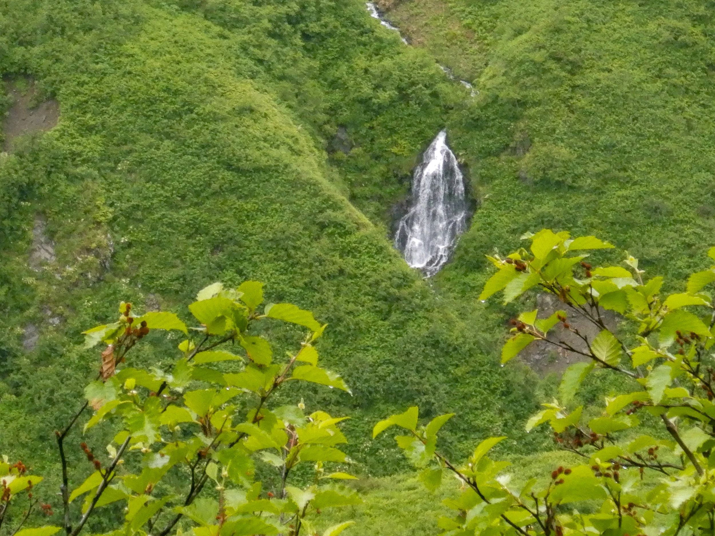 DSCN3474-10.jpg